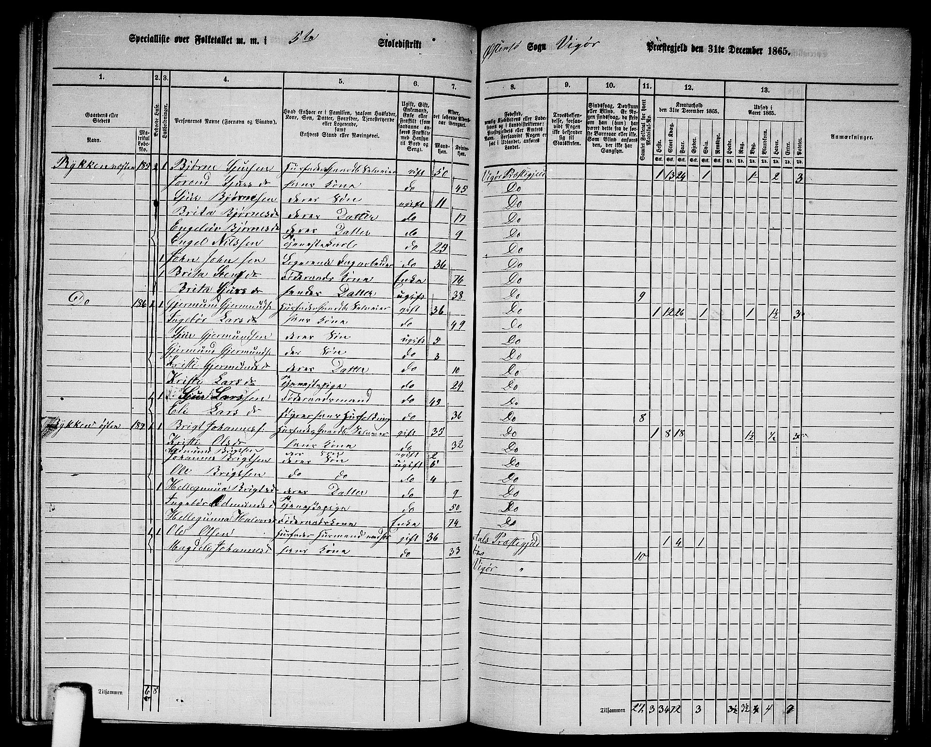 RA, 1865 census for Vikør, 1865, p. 82