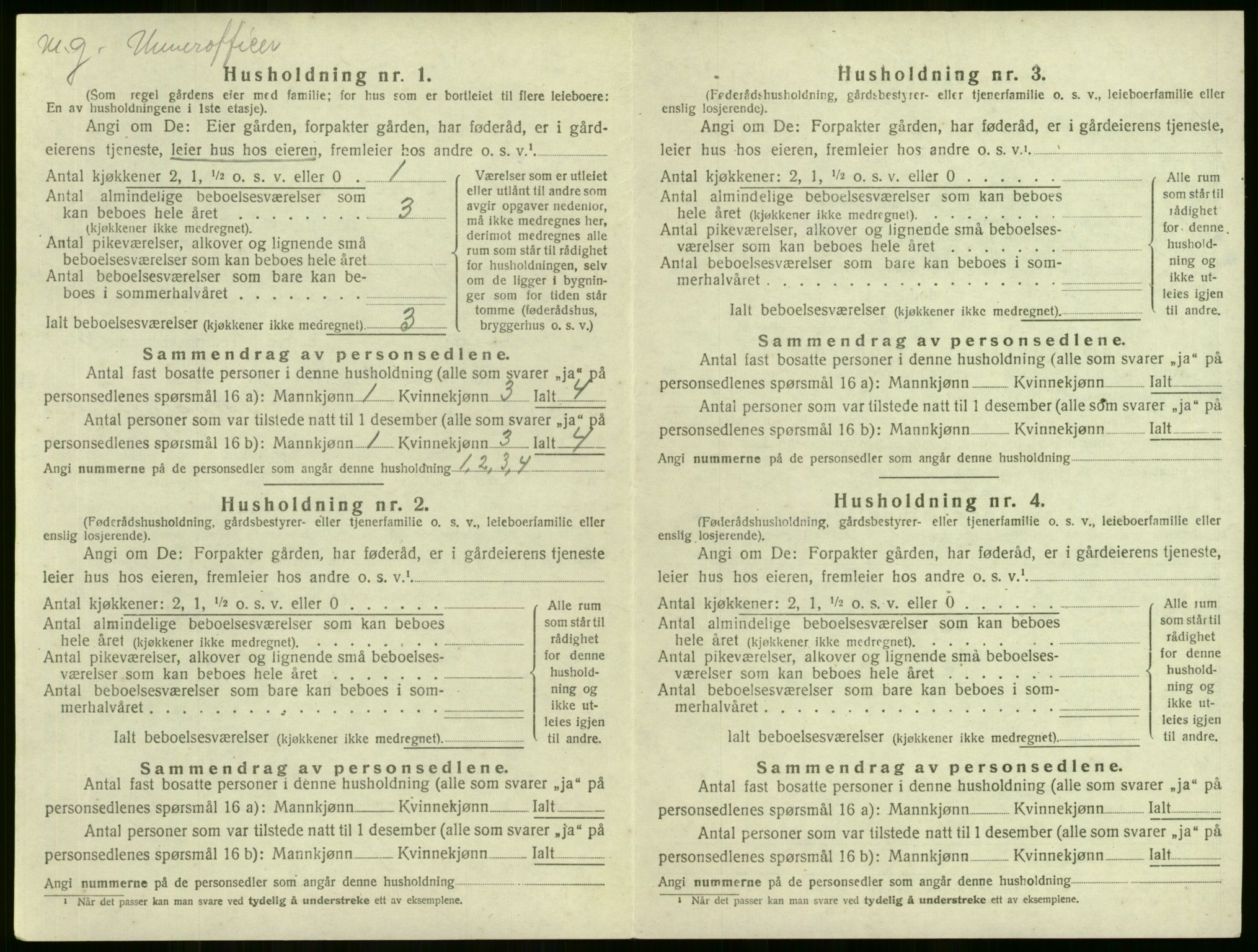 SAKO, 1920 census for Lier, 1920, p. 847