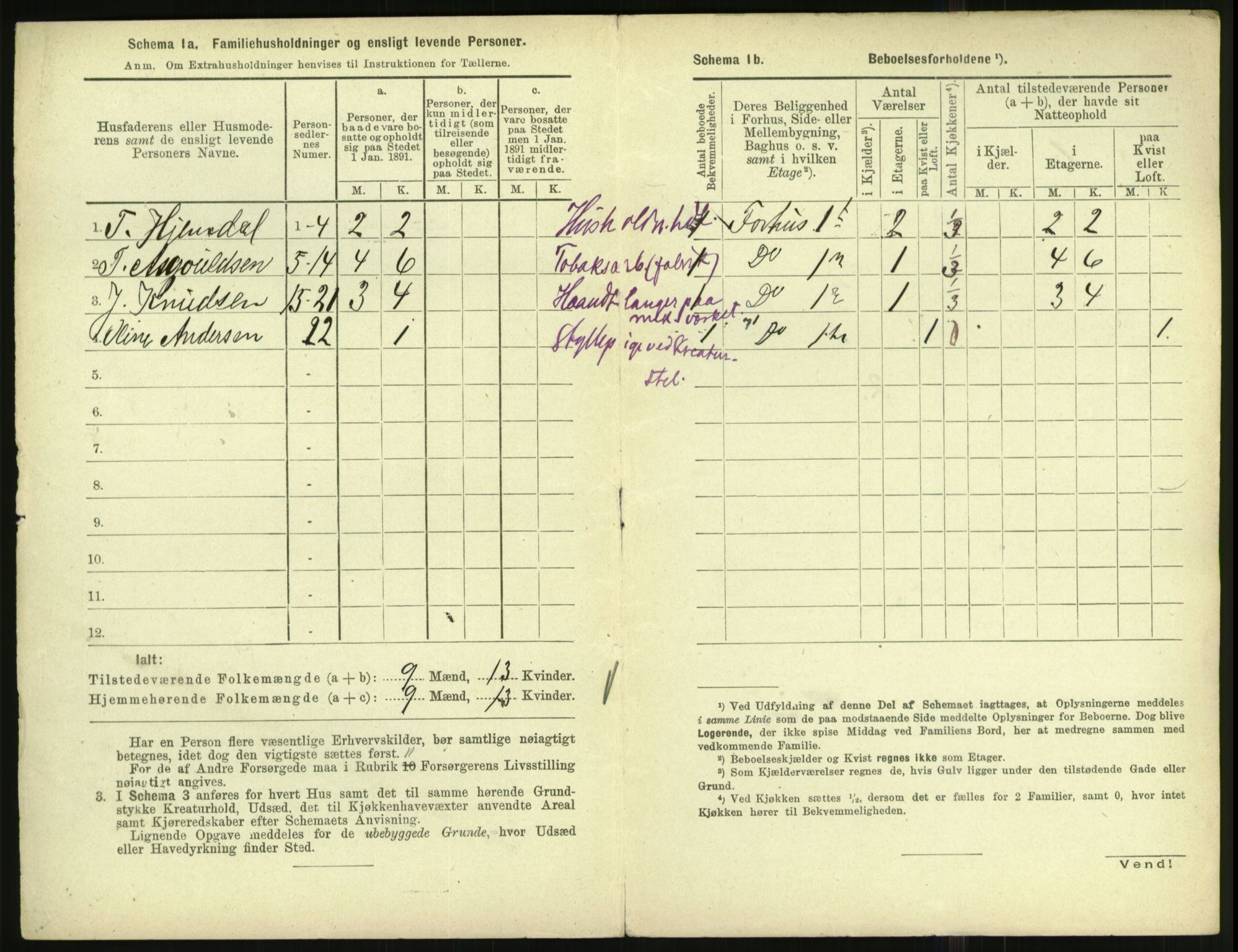 RA, 1891 census for 1001 Kristiansand, 1891, p. 1493