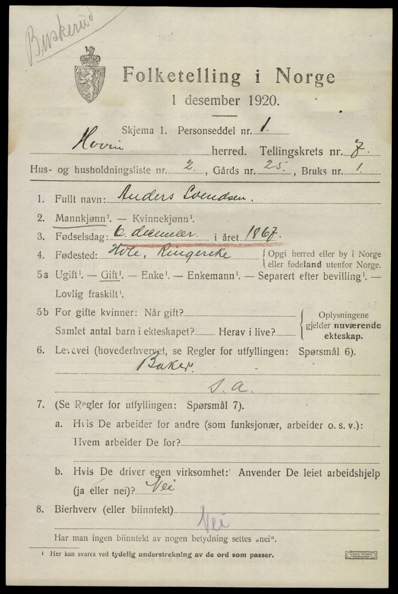 SAKO, 1920 census for Hovin, 1920, p. 1705