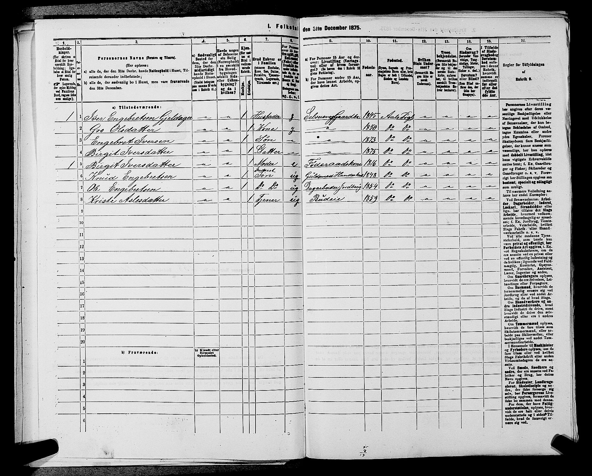 SAKO, 1875 census for 0619P Ål, 1875, p. 796
