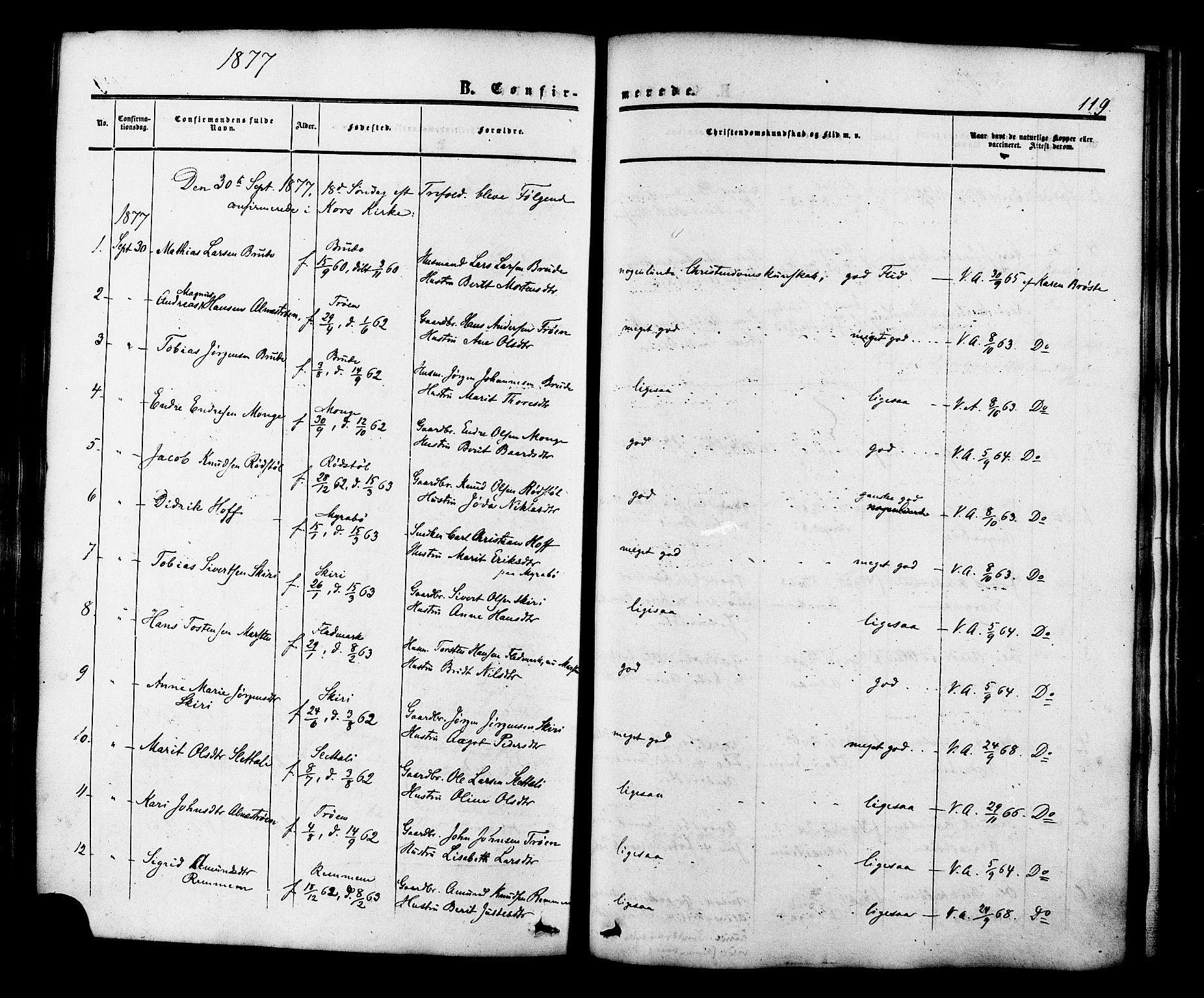 Ministerialprotokoller, klokkerbøker og fødselsregistre - Møre og Romsdal, AV/SAT-A-1454/546/L0594: Parish register (official) no. 546A02, 1854-1882, p. 119