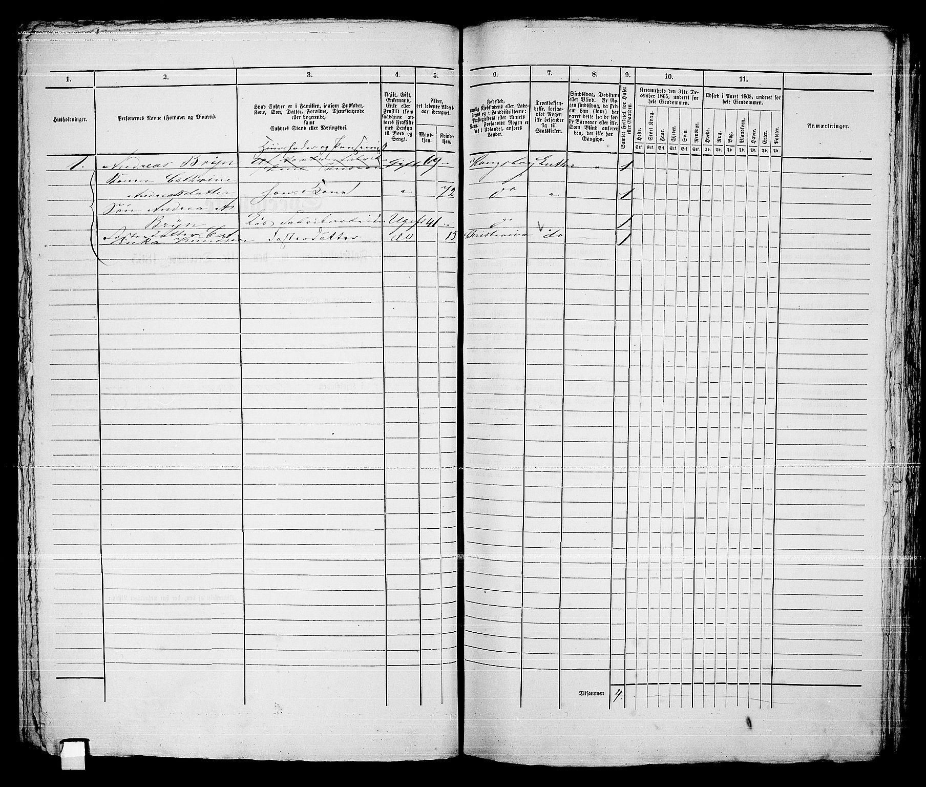 RA, 1865 census for Kongsberg/Kongsberg, 1865, p. 1225