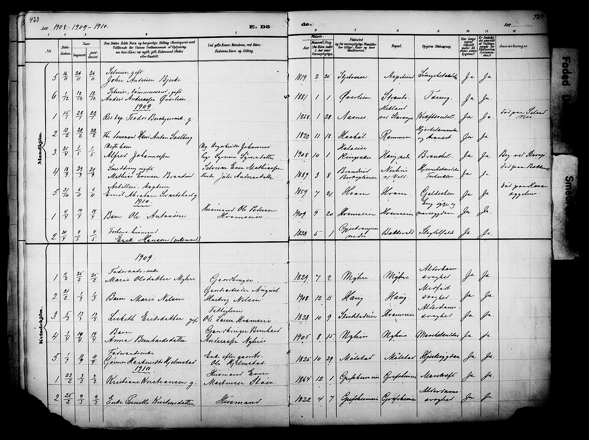 Nes prestekontor, Hedmark, AV/SAH-PREST-020/L/La/L0006: Parish register (copy) no. 6, 1890-1932, p. 423-424