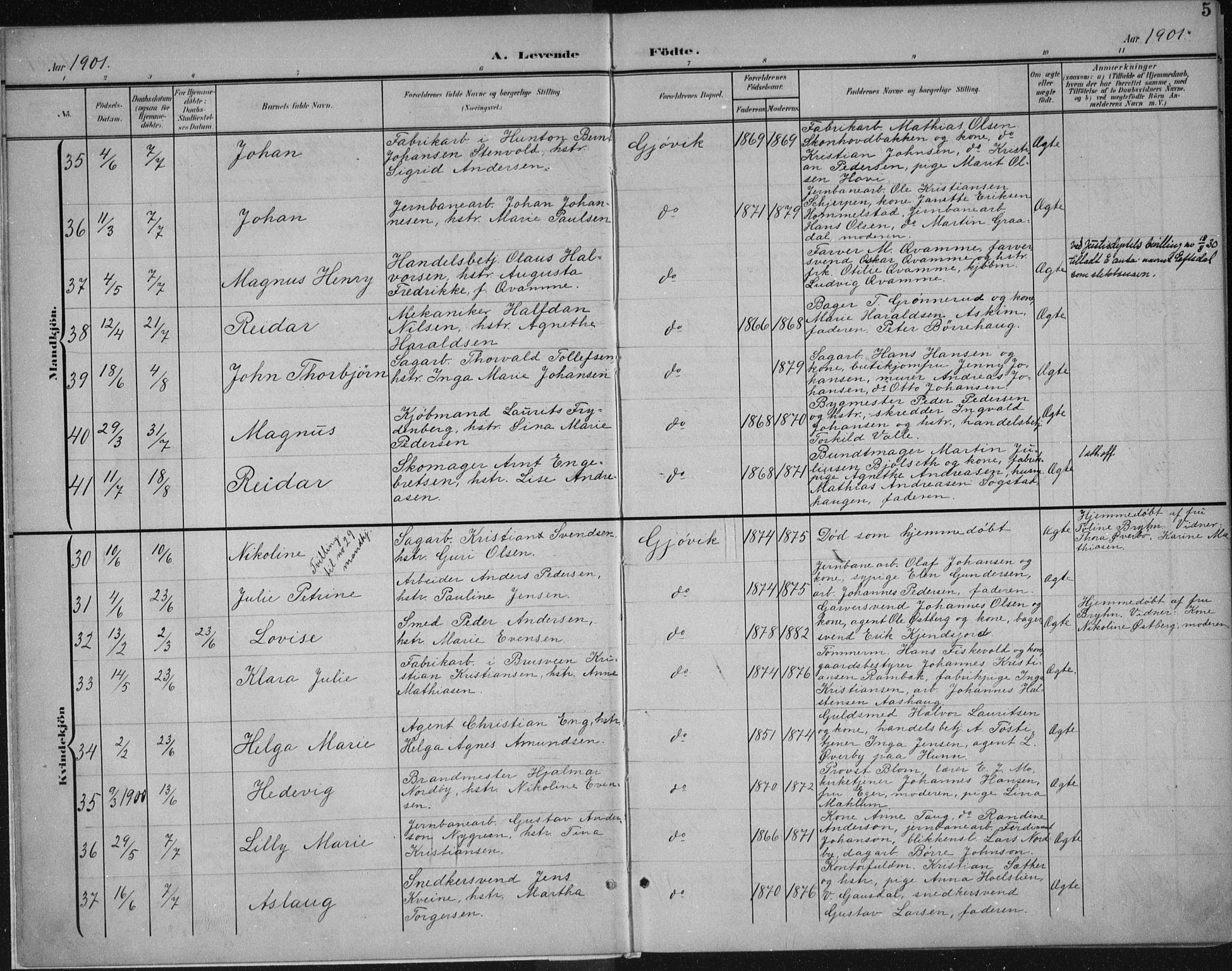 Vardal prestekontor, SAH/PREST-100/H/Ha/Haa/L0013: Parish register (official) no. 13, 1901-1911, p. 5