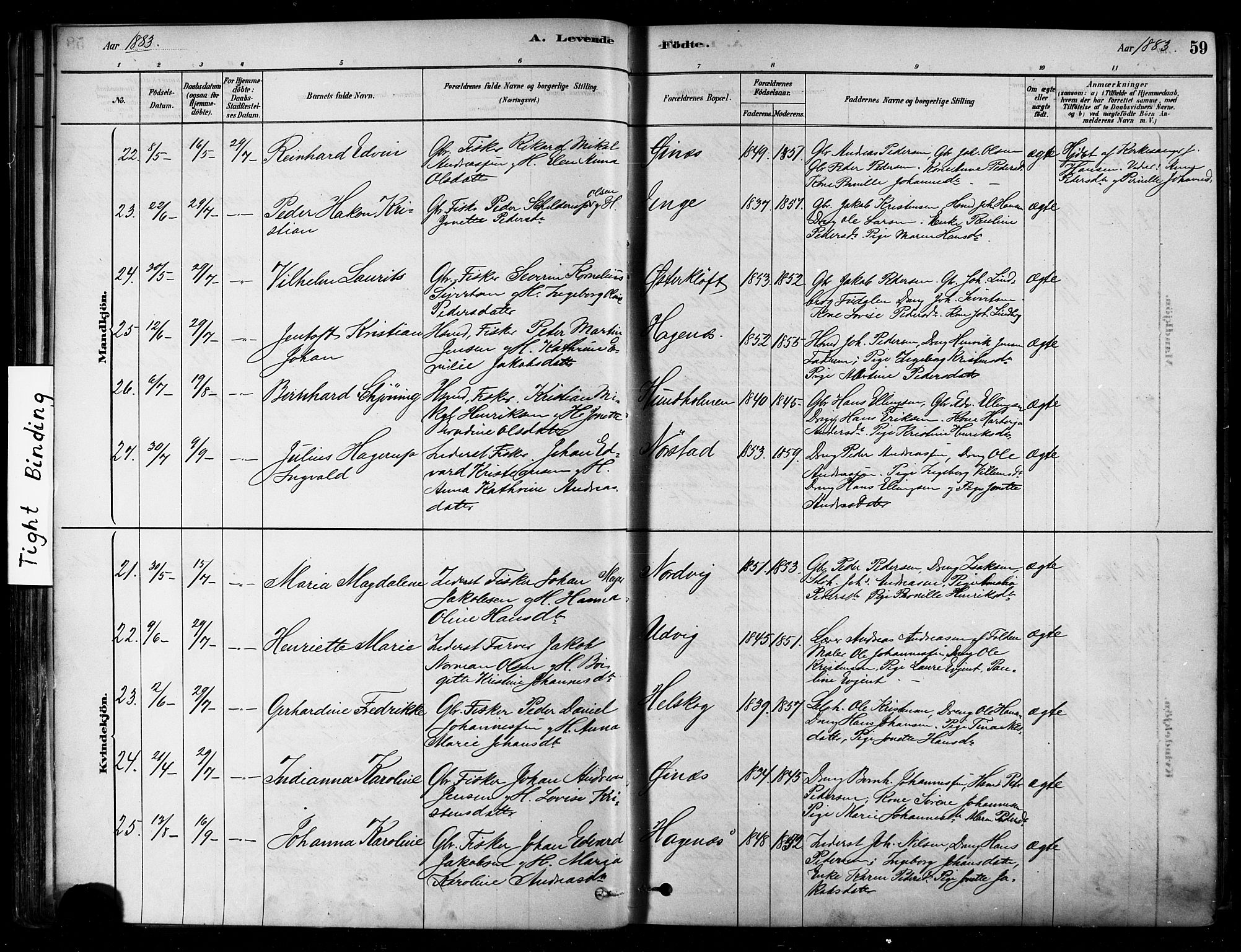 Ministerialprotokoller, klokkerbøker og fødselsregistre - Nordland, AV/SAT-A-1459/852/L0740: Parish register (official) no. 852A10, 1878-1894, p. 59