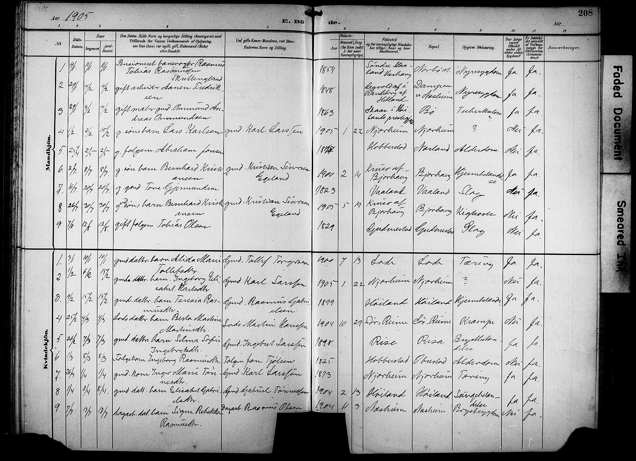 Hå sokneprestkontor, AV/SAST-A-101801/001/30BB/L0005: Parish register (copy) no. B 5, 1894-1912, p. 208