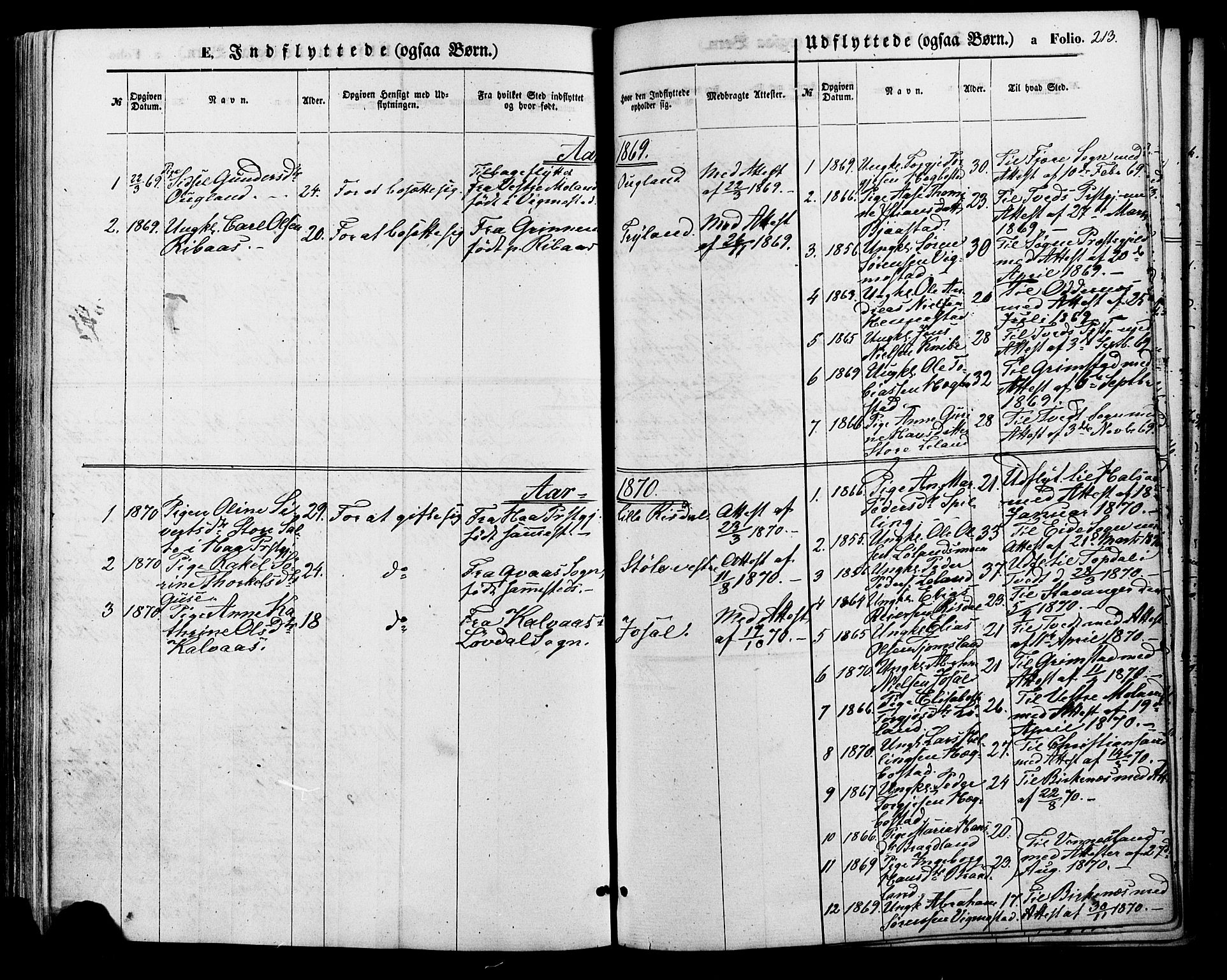 Nord-Audnedal sokneprestkontor, SAK/1111-0032/F/Fa/Fab/L0002: Parish register (official) no. A 2, 1859-1882, p. 213