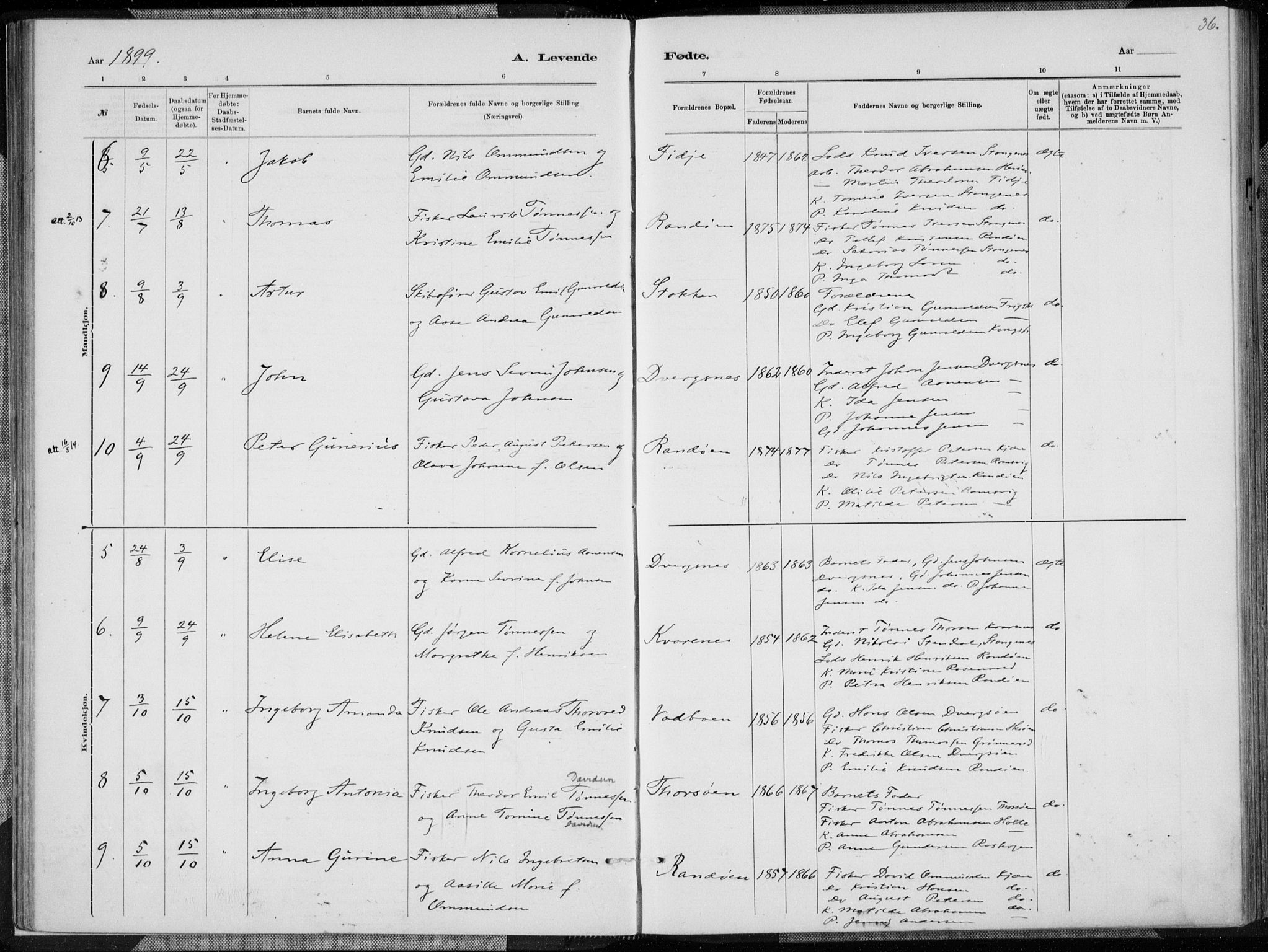 Oddernes sokneprestkontor, AV/SAK-1111-0033/F/Fa/Fab/L0002: Parish register (official) no. A 2, 1884-1903, p. 36