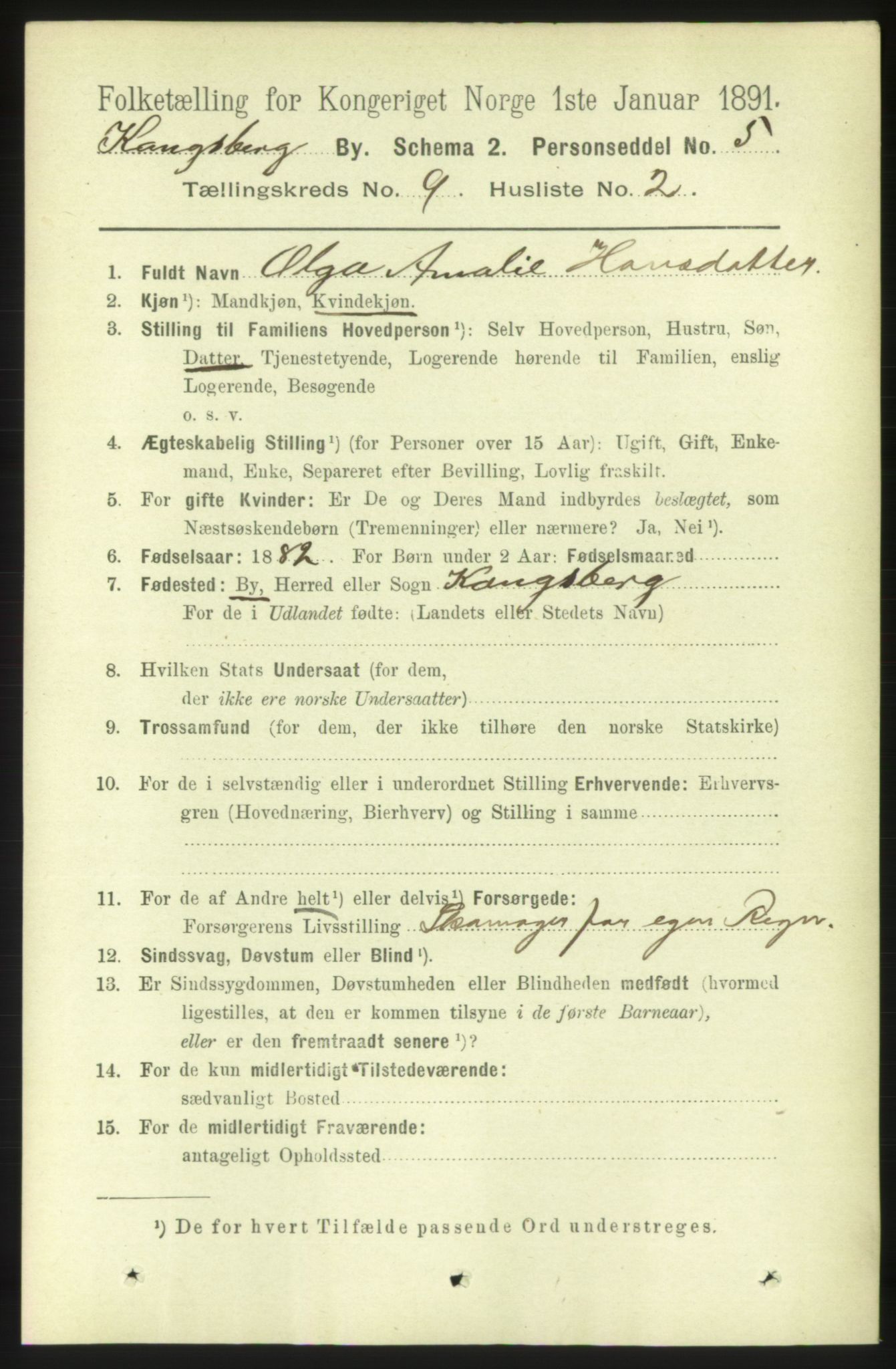 RA, 1891 census for 0604 Kongsberg, 1891, p. 6054