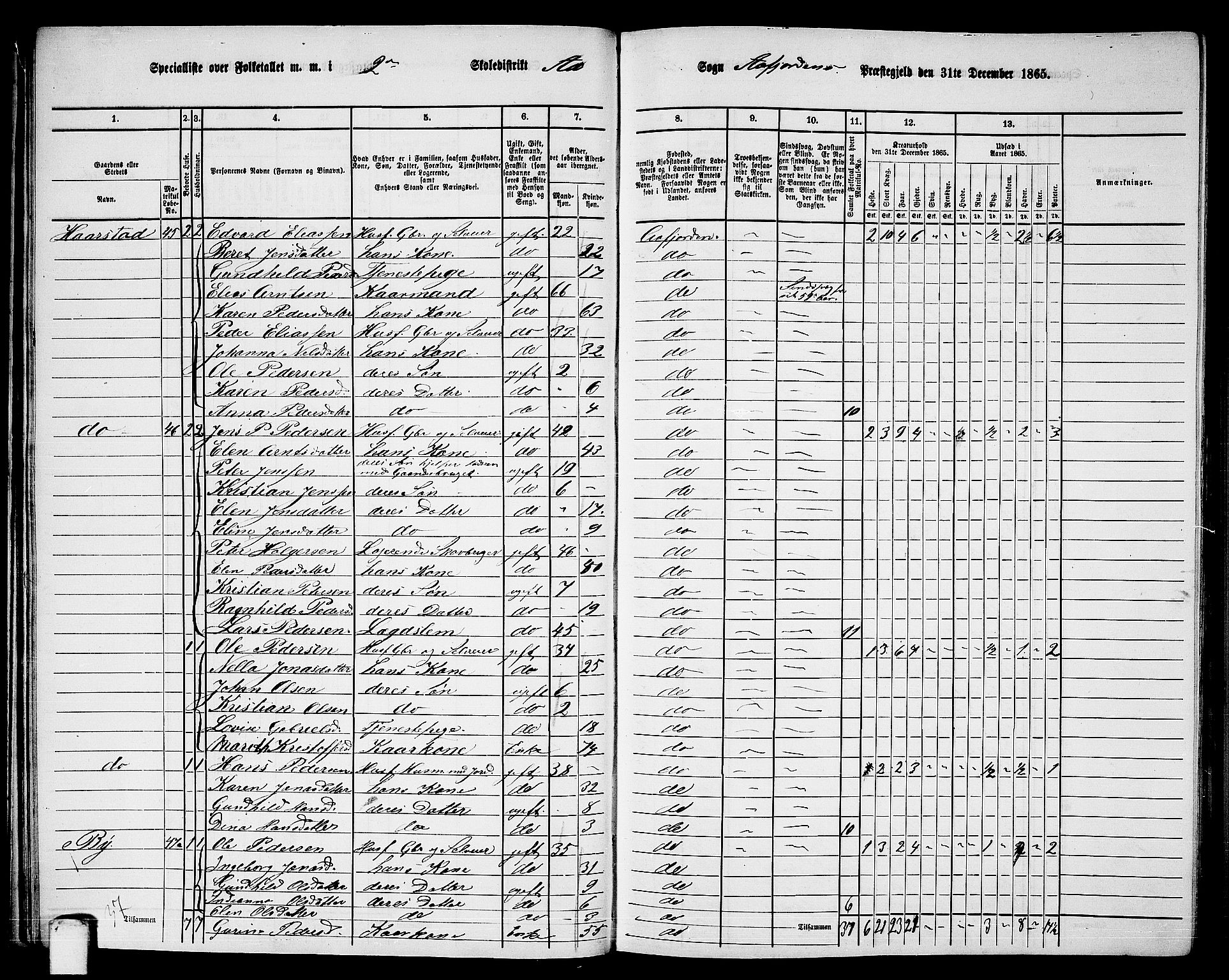 RA, 1865 census for Aafjorden, 1865, p. 30