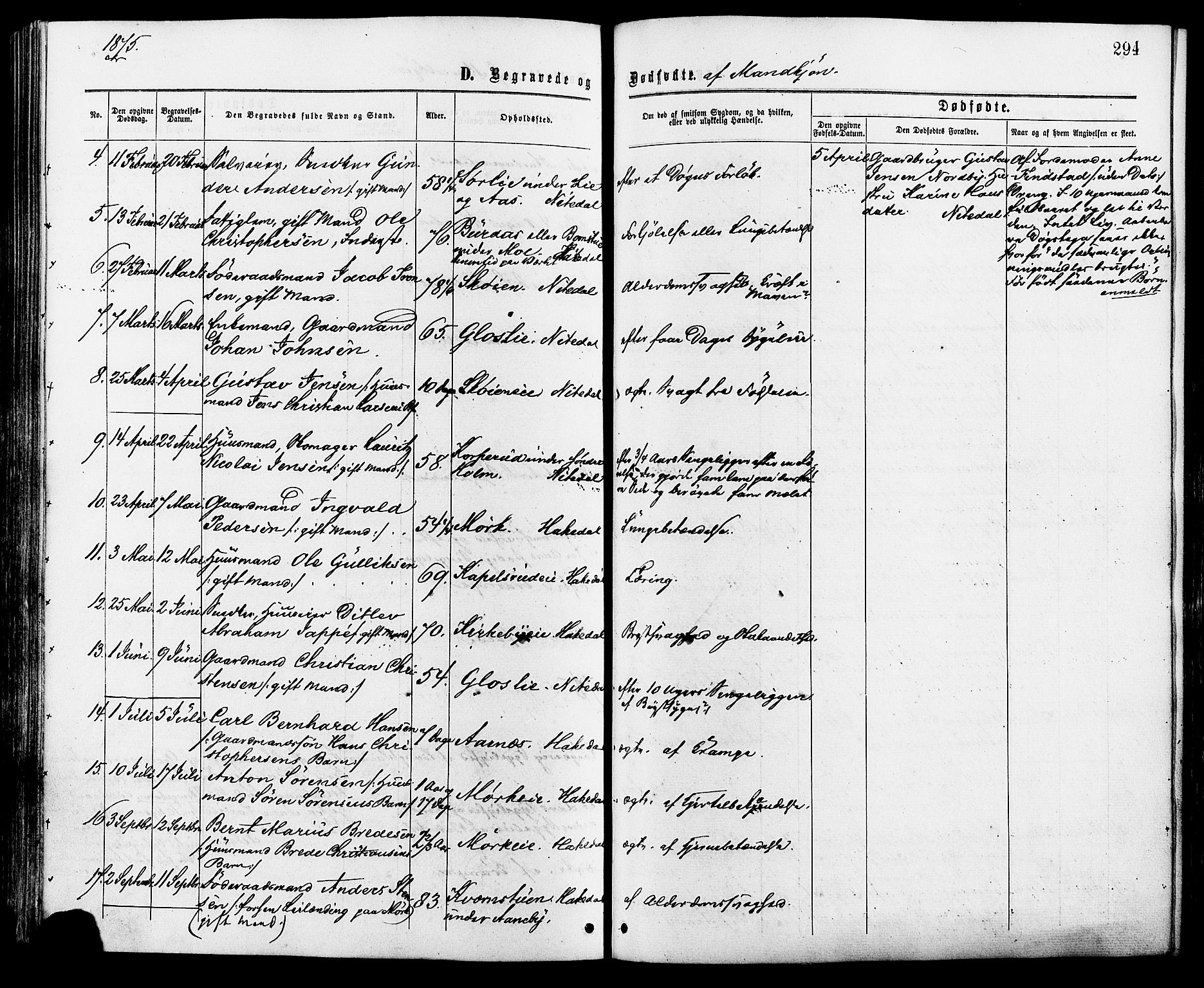 Nittedal prestekontor Kirkebøker, AV/SAO-A-10365a/F/Fa/L0006: Parish register (official) no. I 6, 1863-1878, p. 294