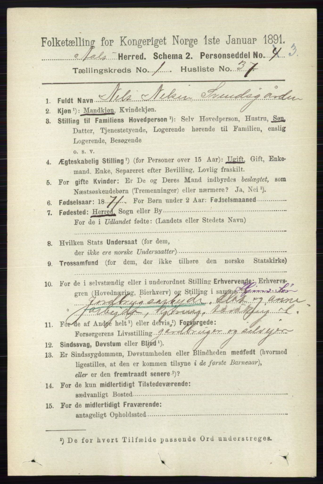 RA, 1891 census for 0619 Ål, 1891, p. 256