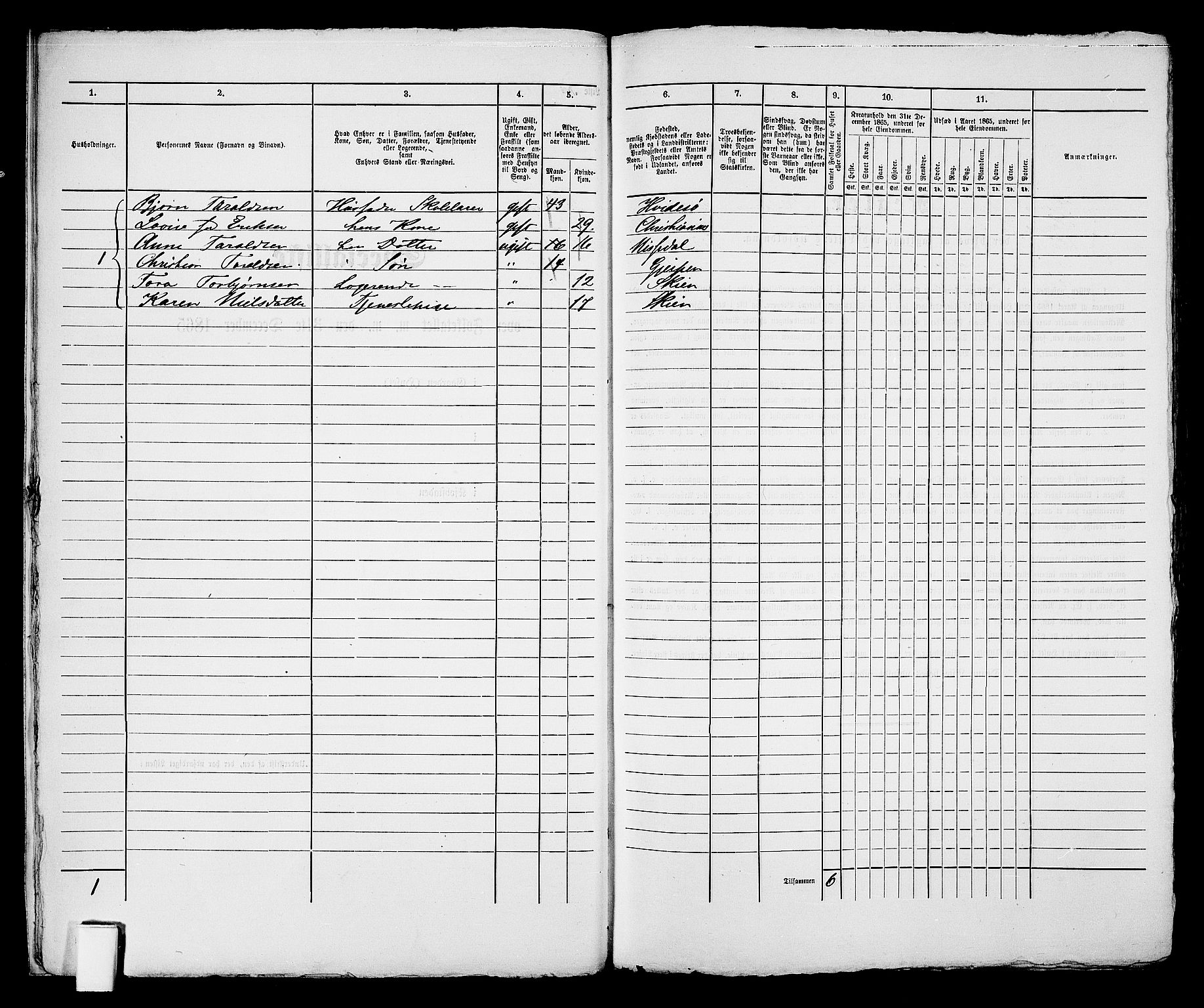 RA, 1865 census for Skien, 1865, p. 423