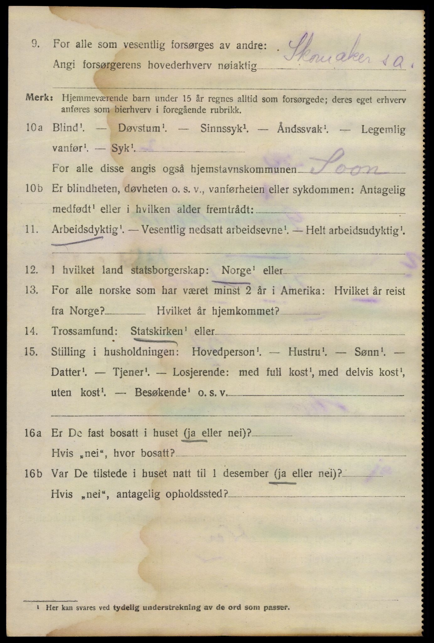 SAO, 1920 census for Son, 1920, p. 1135