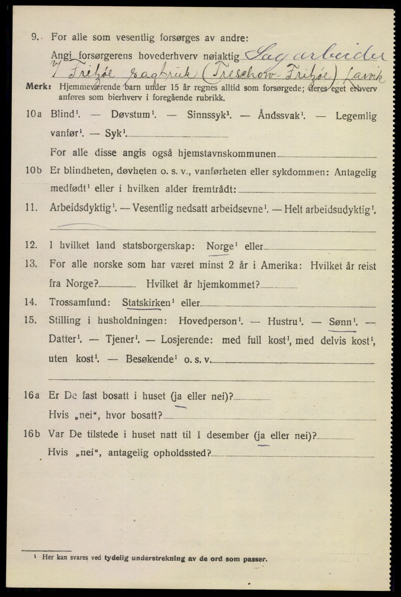 SAKO, 1920 census for Larvik, 1920, p. 13015