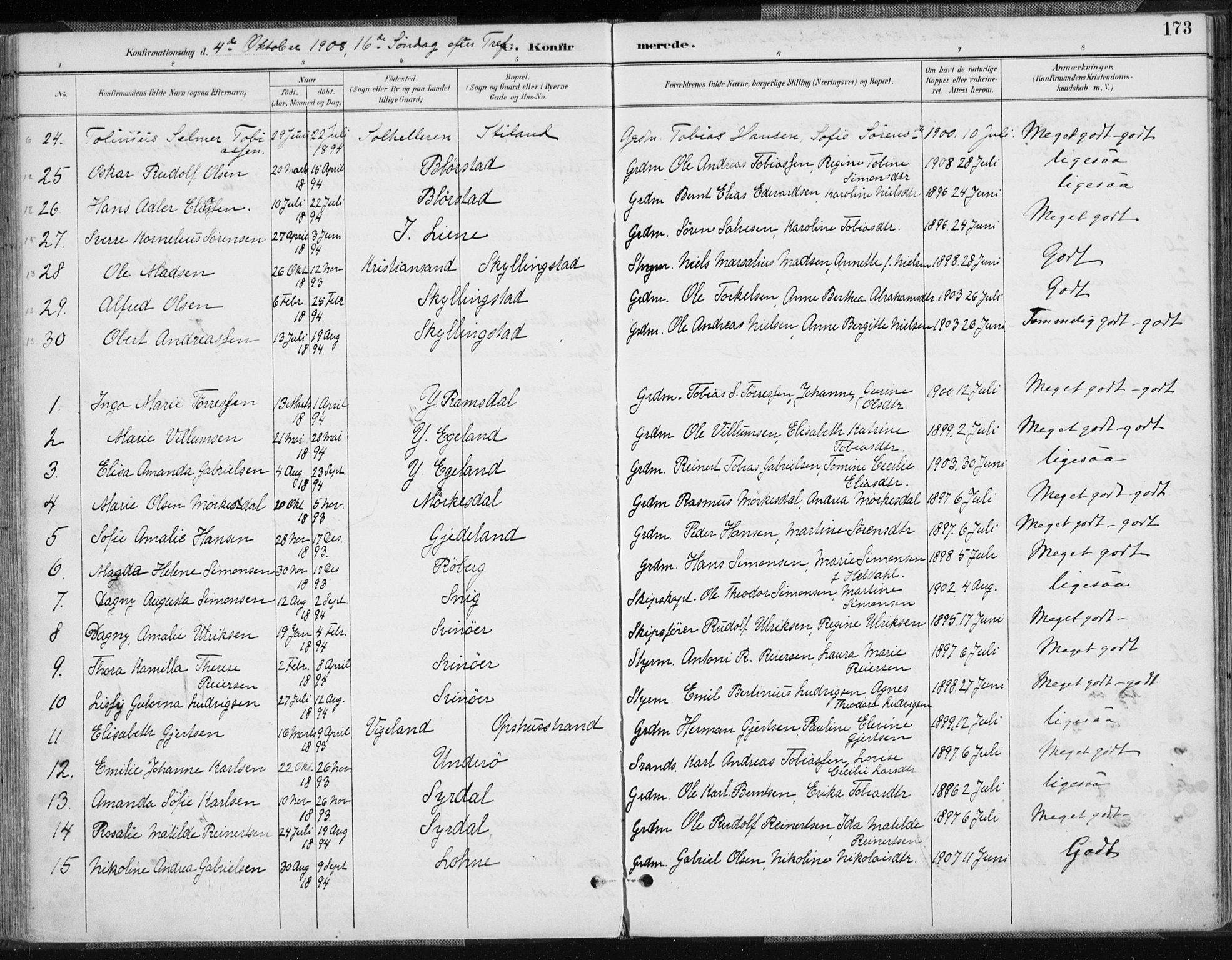 Sør-Audnedal sokneprestkontor, AV/SAK-1111-0039/F/Fa/Fab/L0010: Parish register (official) no. A 10, 1892-1913, p. 174