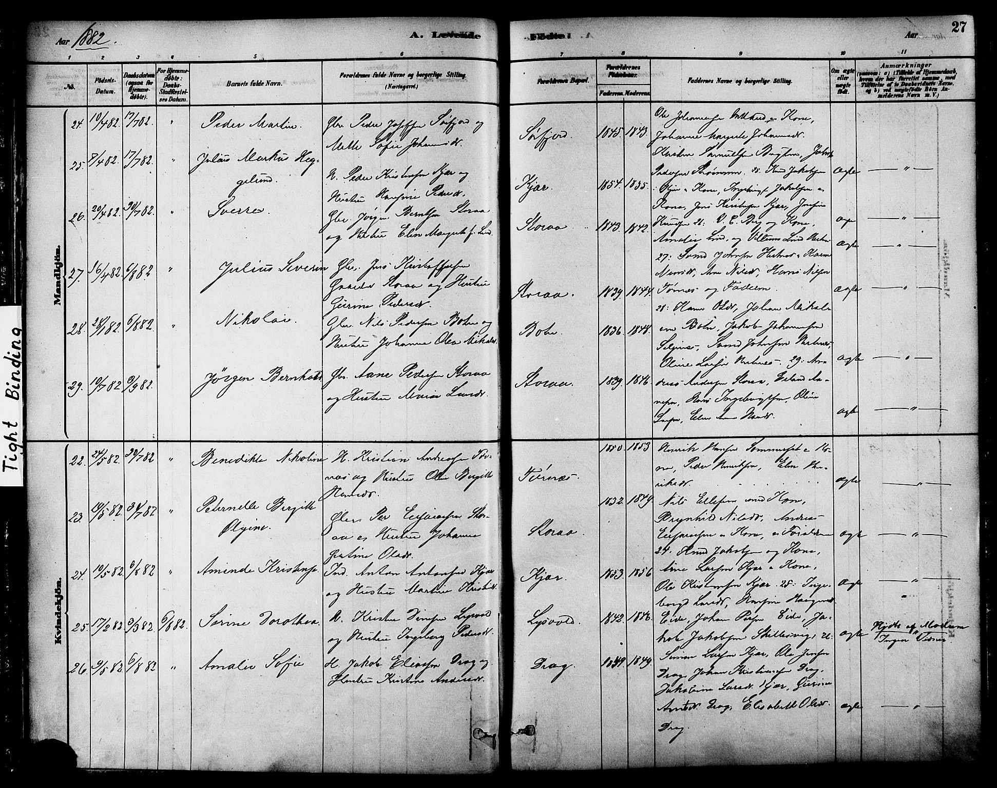 Ministerialprotokoller, klokkerbøker og fødselsregistre - Nordland, SAT/A-1459/861/L0868: Parish register (official) no. 861A03, 1879-1889, p. 27