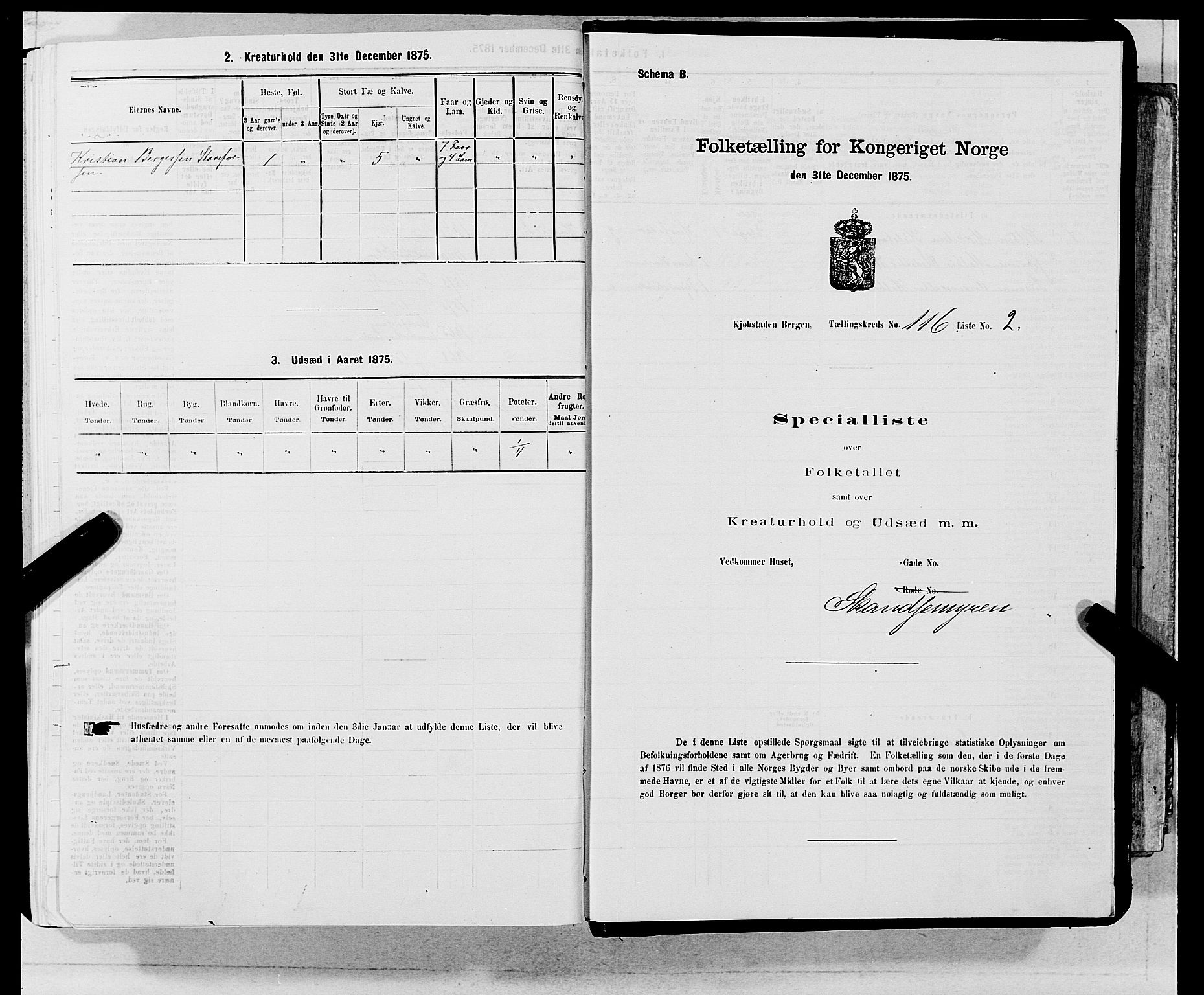 SAB, 1875 census for 1301 Bergen, 1875, p. 6196