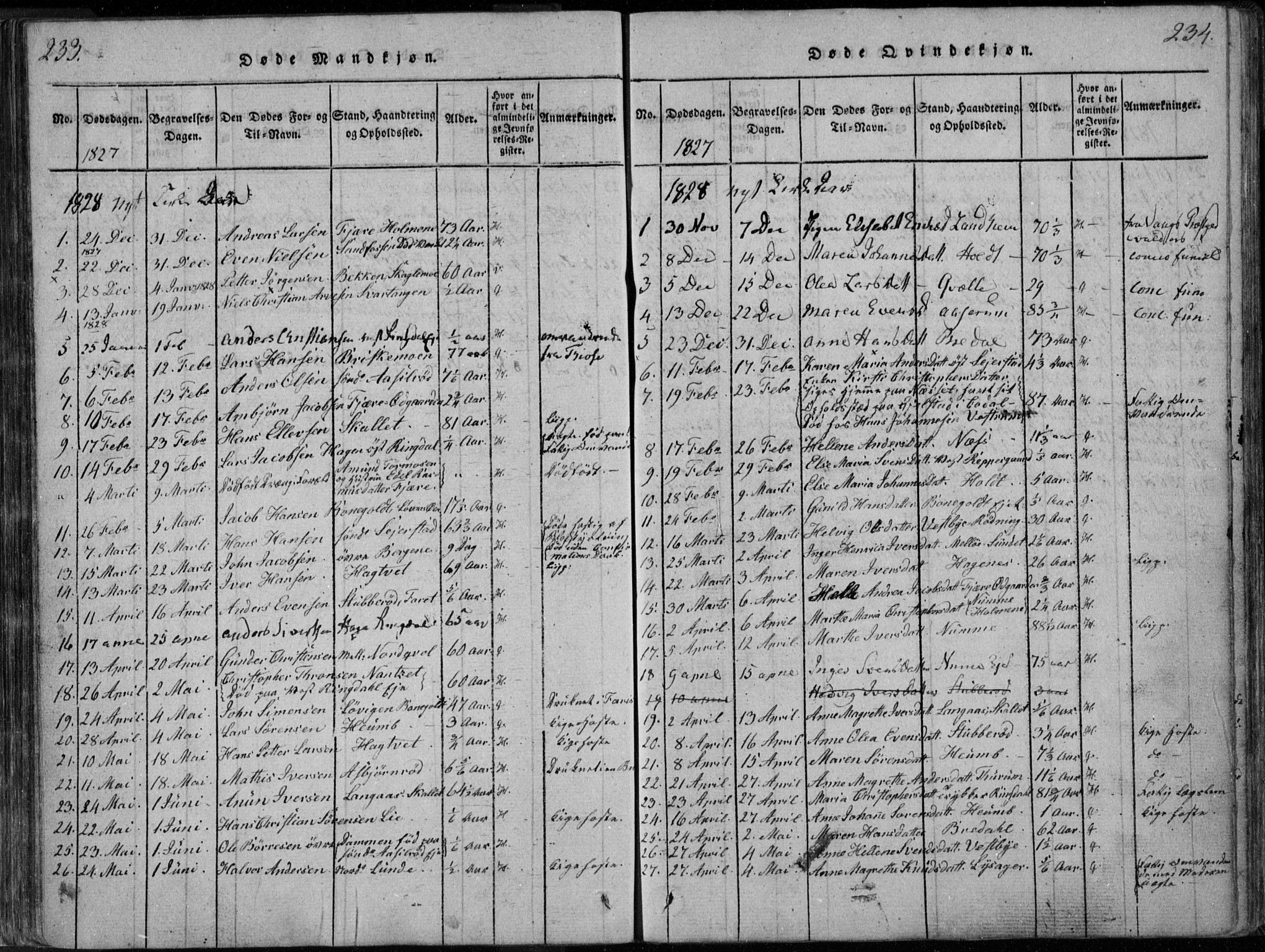 Hedrum kirkebøker, AV/SAKO-A-344/F/Fa/L0004: Parish register (official) no. I 4, 1817-1835, p. 233-234