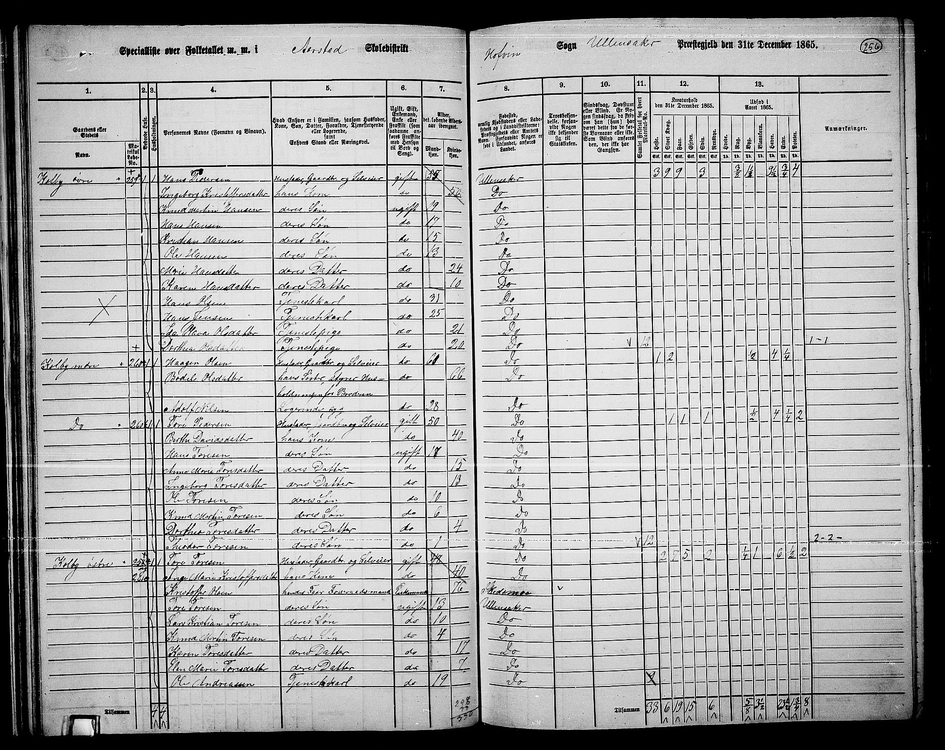 RA, 1865 census for Ullensaker, 1865, p. 228