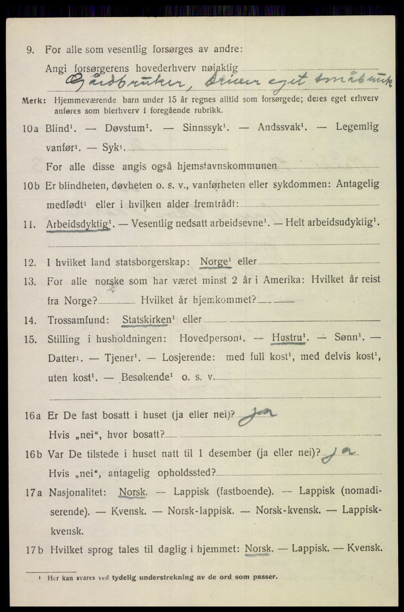 SAT, 1920 census for Borge, 1920, p. 10308