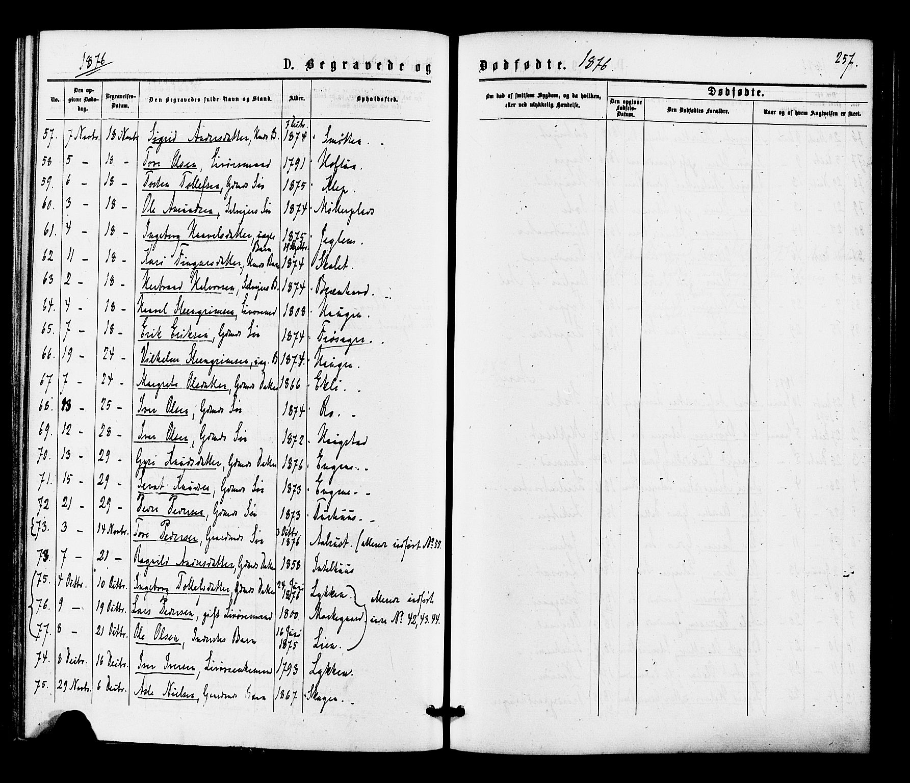 Gol kirkebøker, AV/SAKO-A-226/F/Fa/L0004: Parish register (official) no. I 4, 1876-1886, p. 257