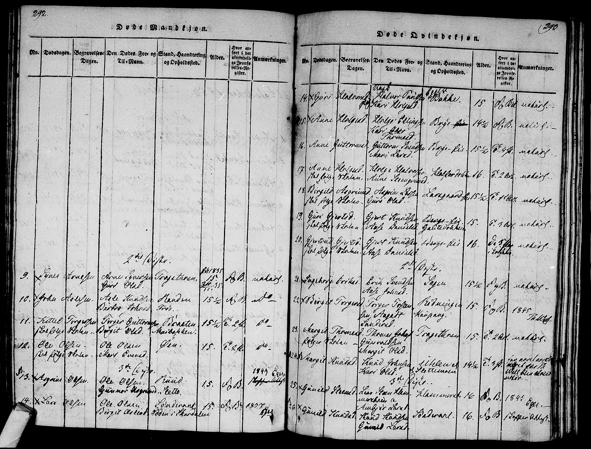 Ål kirkebøker, AV/SAKO-A-249/F/Fa/L0004: Parish register (official) no. I 4, 1815-1825, p. 292-293