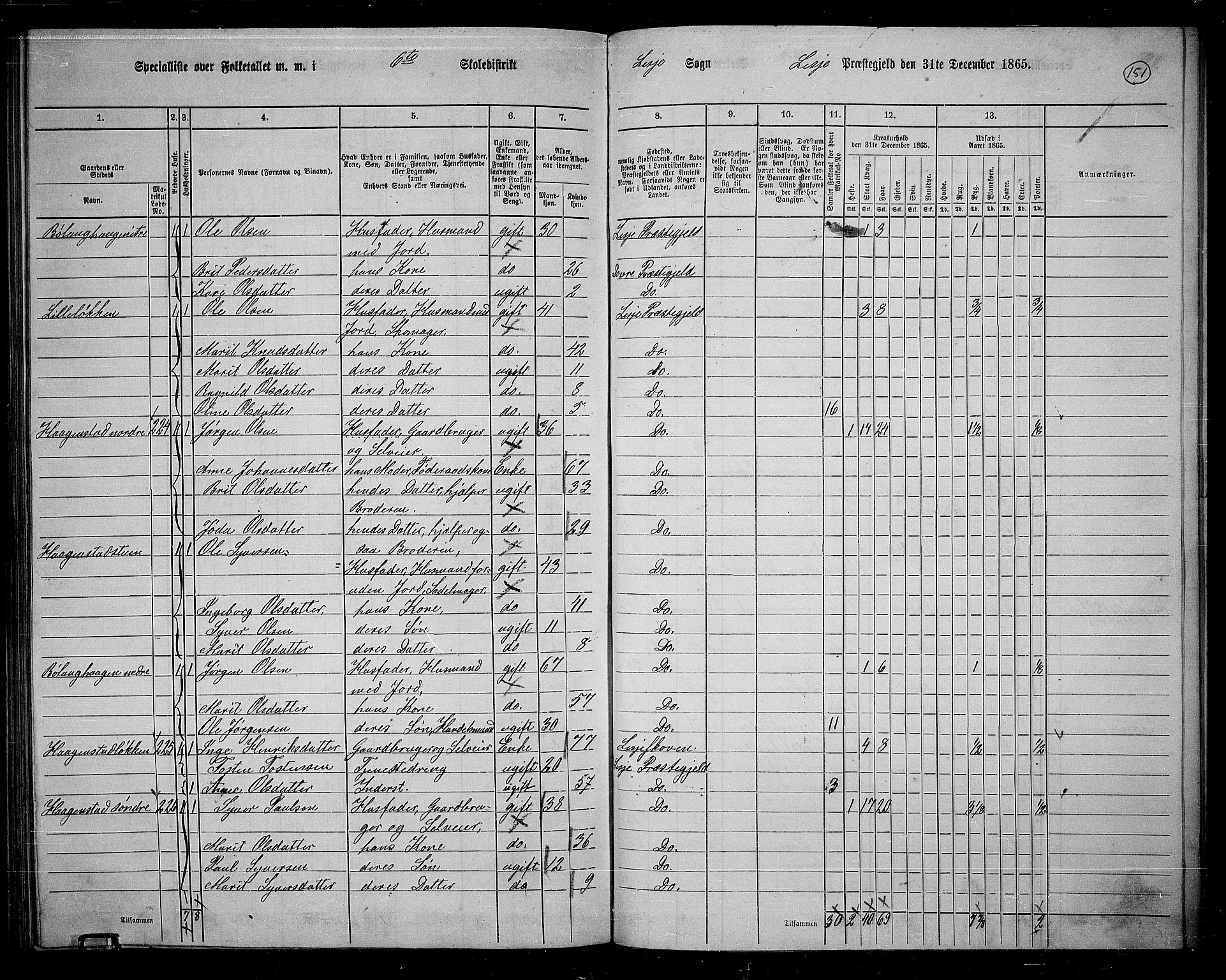 RA, 1865 census for Lesja, 1865, p. 138