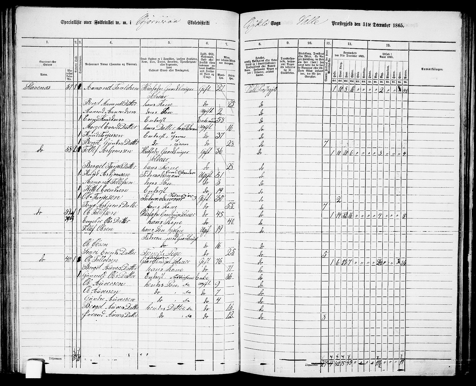 RA, 1865 census for Valle, 1865, p. 75