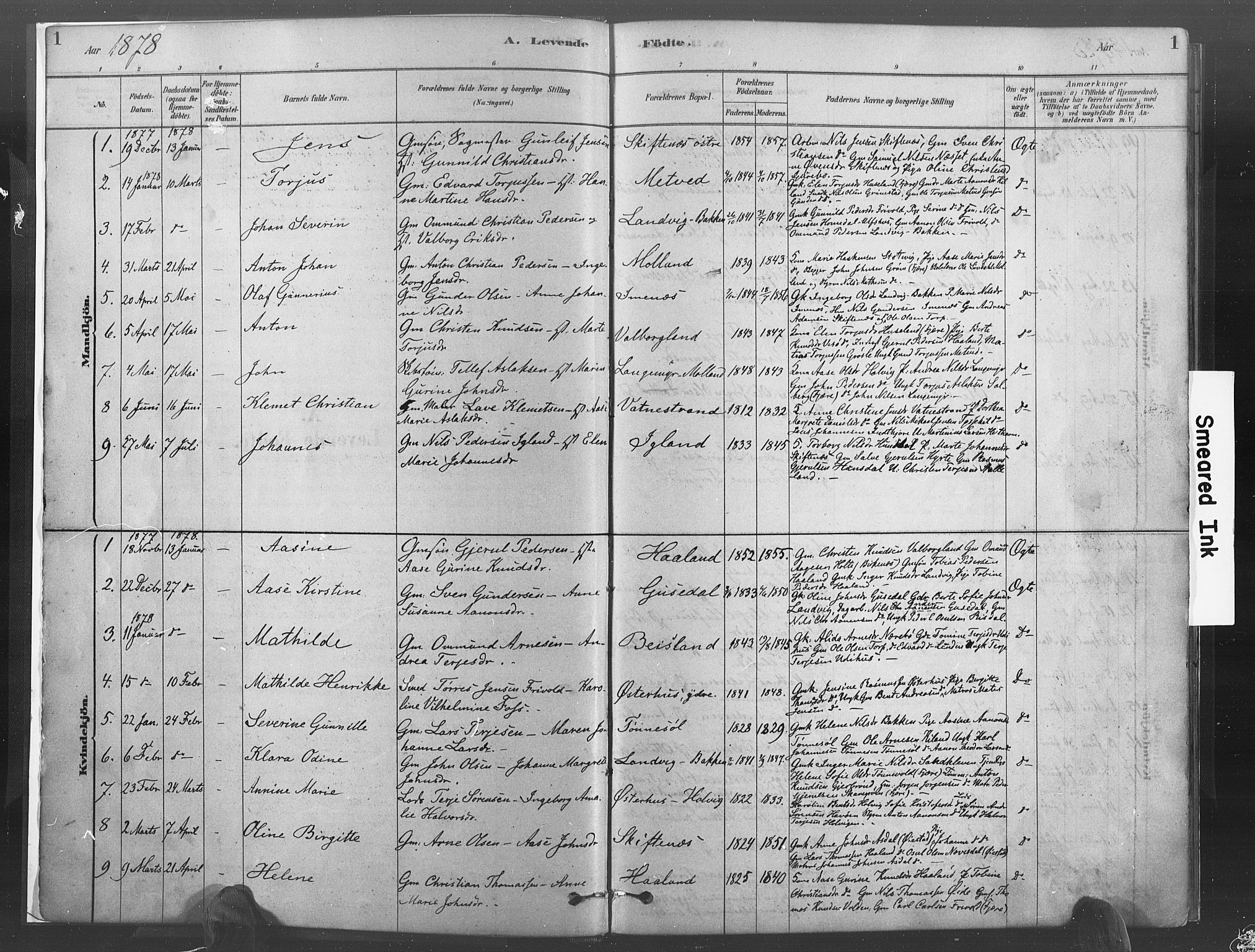 Hommedal sokneprestkontor, AV/SAK-1111-0023/F/Fa/Fab/L0006: Parish register (official) no. A 6, 1878-1897, p. 1