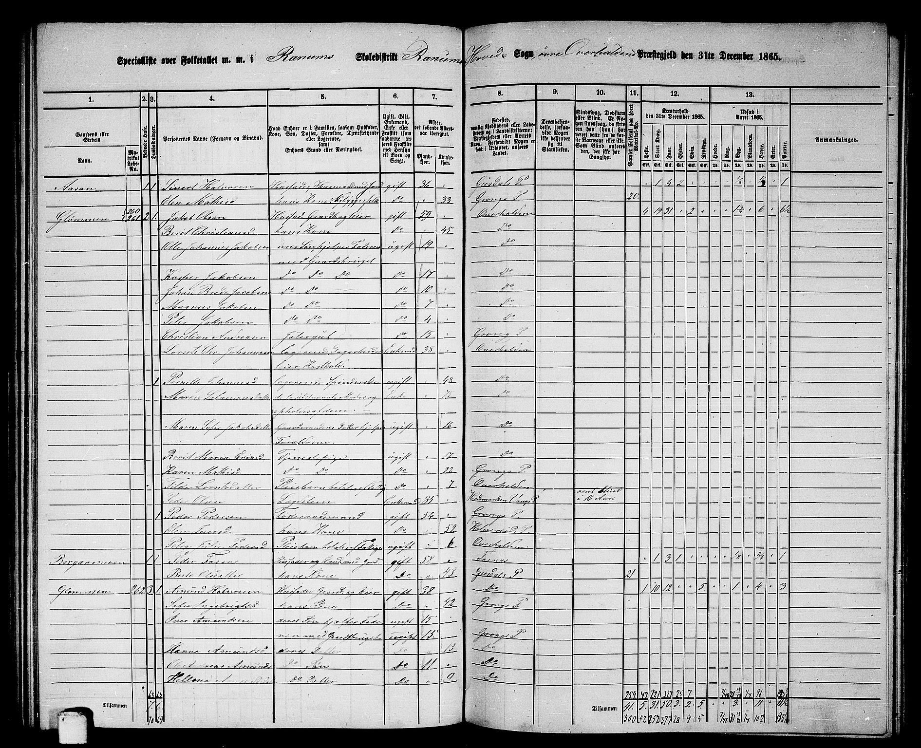 RA, 1865 census for Overhalla, 1865, p. 30