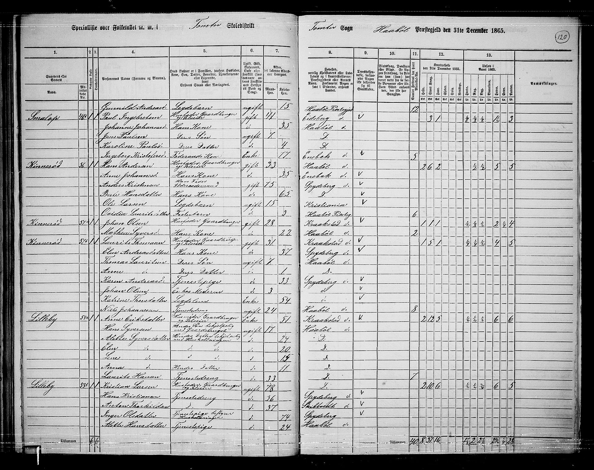 RA, 1865 census for Hobøl, 1865, p. 102