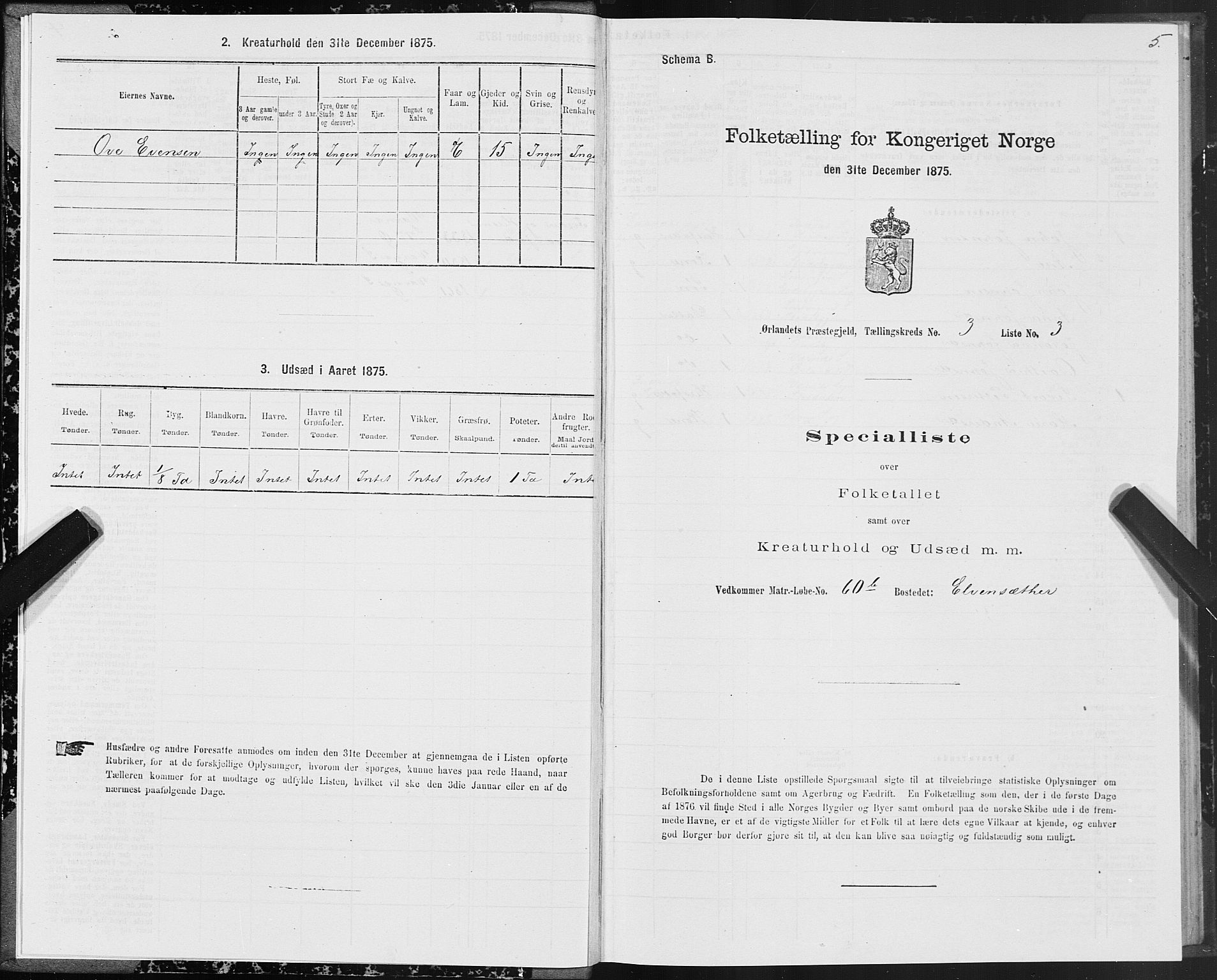 SAT, 1875 census for 1621P Ørland, 1875, p. 2005