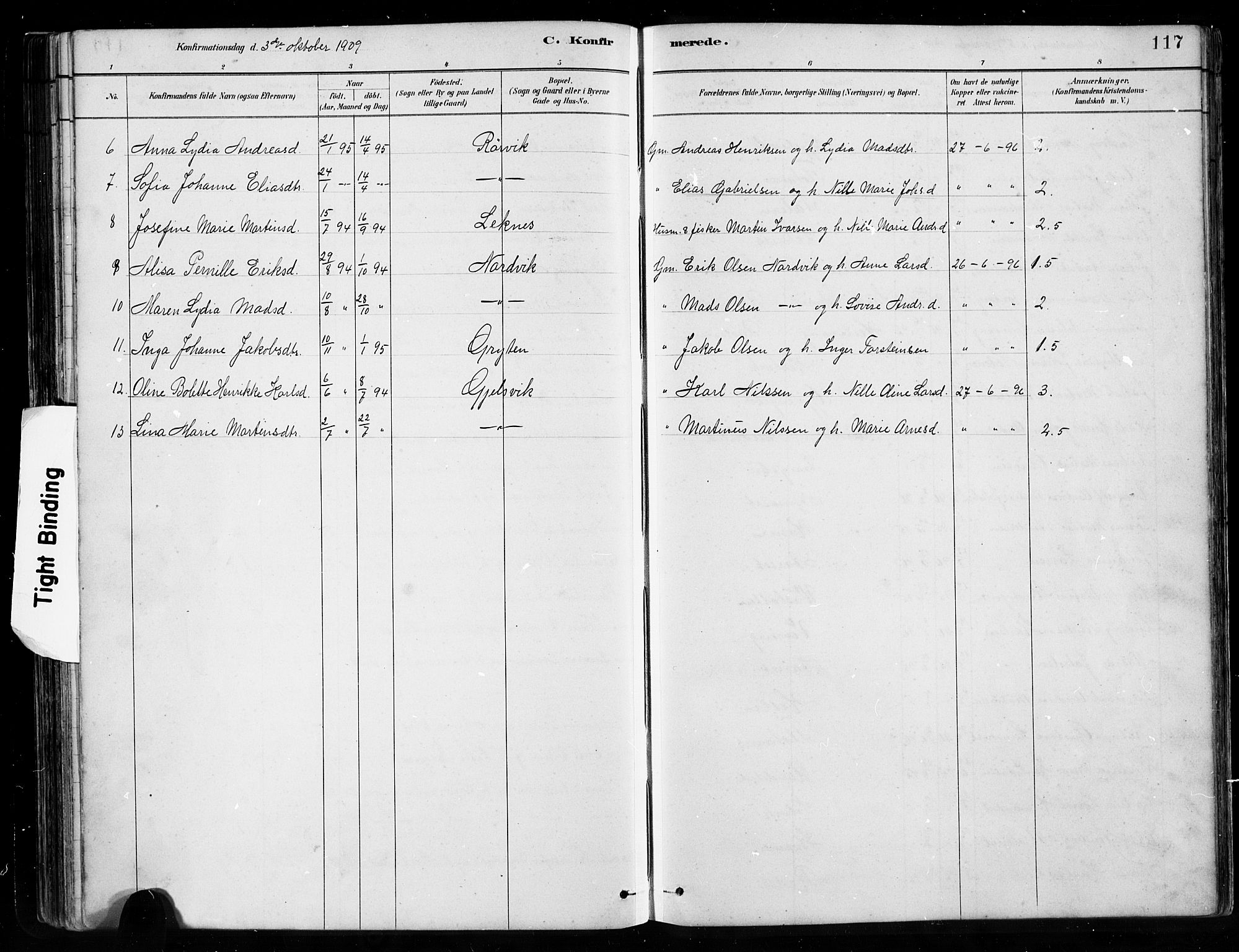 Førde sokneprestembete, SAB/A-79901/H/Hab/Habe/L0001: Parish register (copy) no. E 1, 1881-1920, p. 117