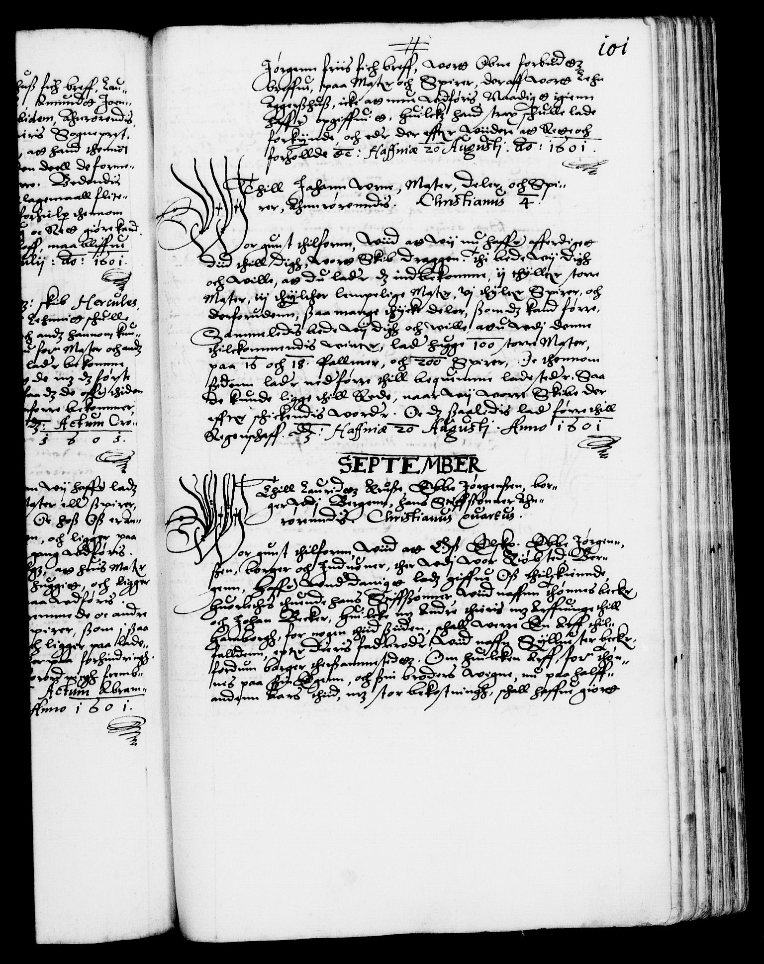 Danske Kanselli 1572-1799, RA/EA-3023/F/Fc/Fca/Fcab/L0003: Norske tegnelser (mikrofilm), 1596-1616, p. 101a