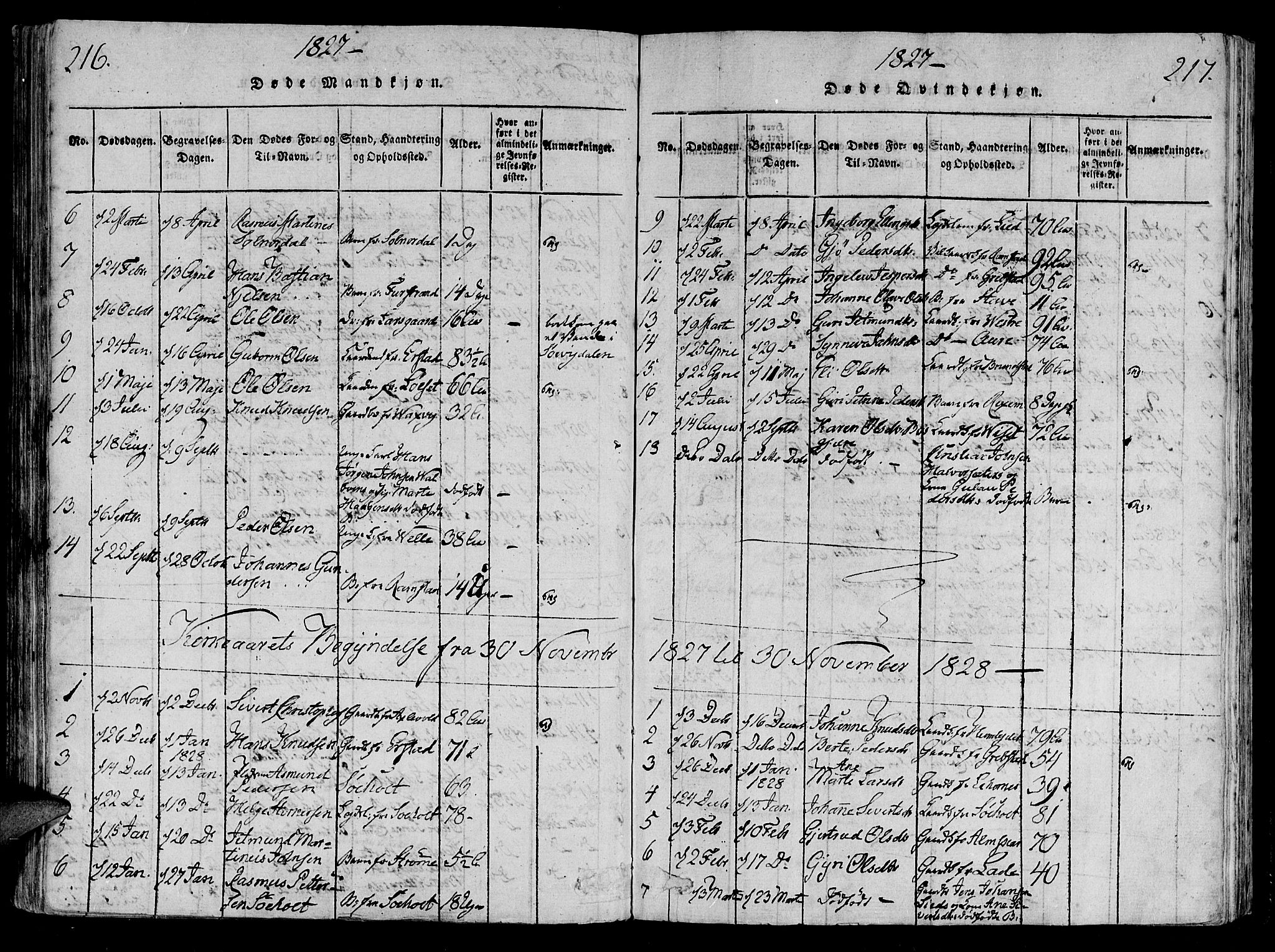 Ministerialprotokoller, klokkerbøker og fødselsregistre - Møre og Romsdal, SAT/A-1454/522/L0310: Parish register (official) no. 522A05, 1816-1832, p. 216-217
