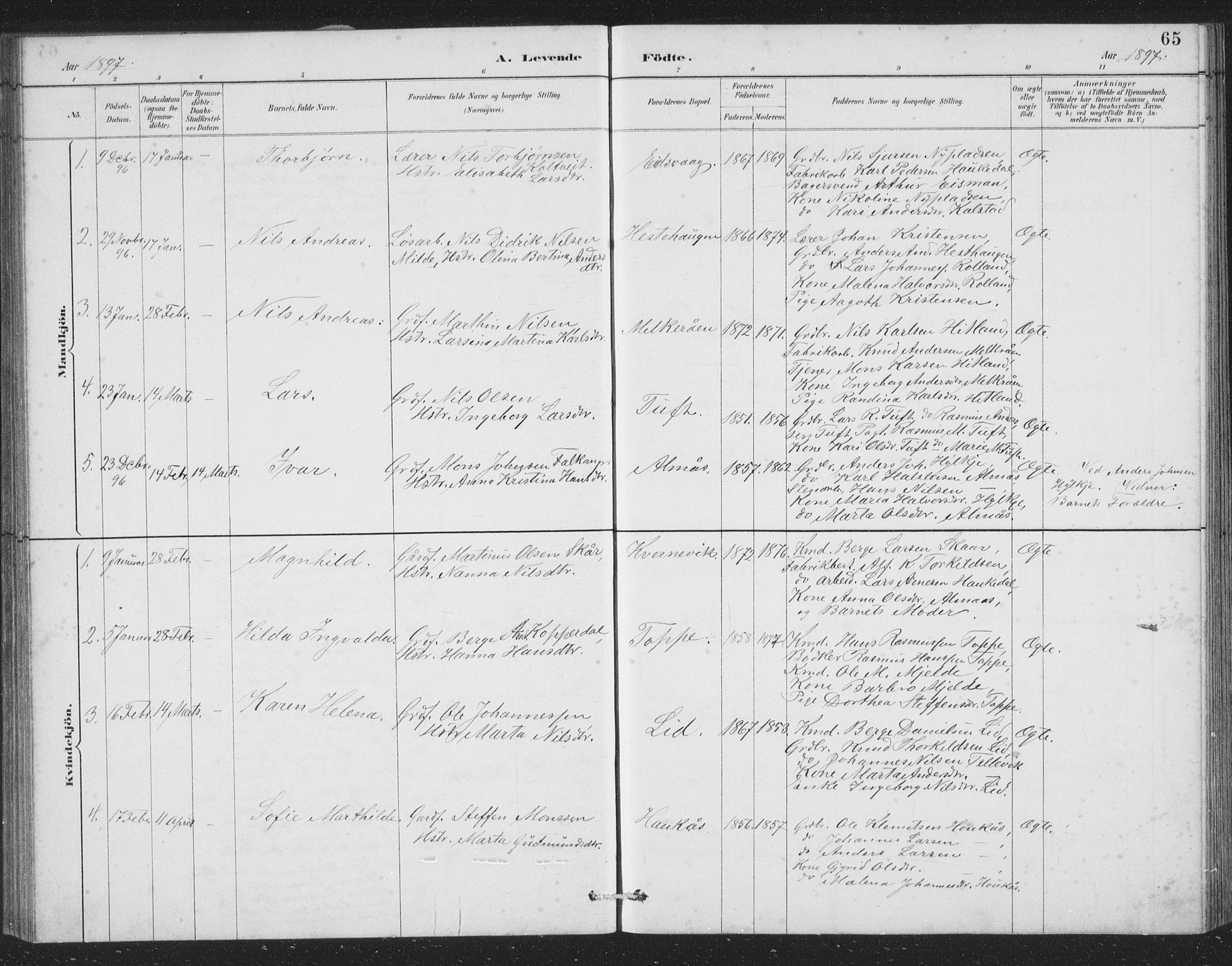 Åsane sokneprestembete, SAB/A-79401/H/Hab: Parish register (copy) no. A 2, 1885-1898, p. 65