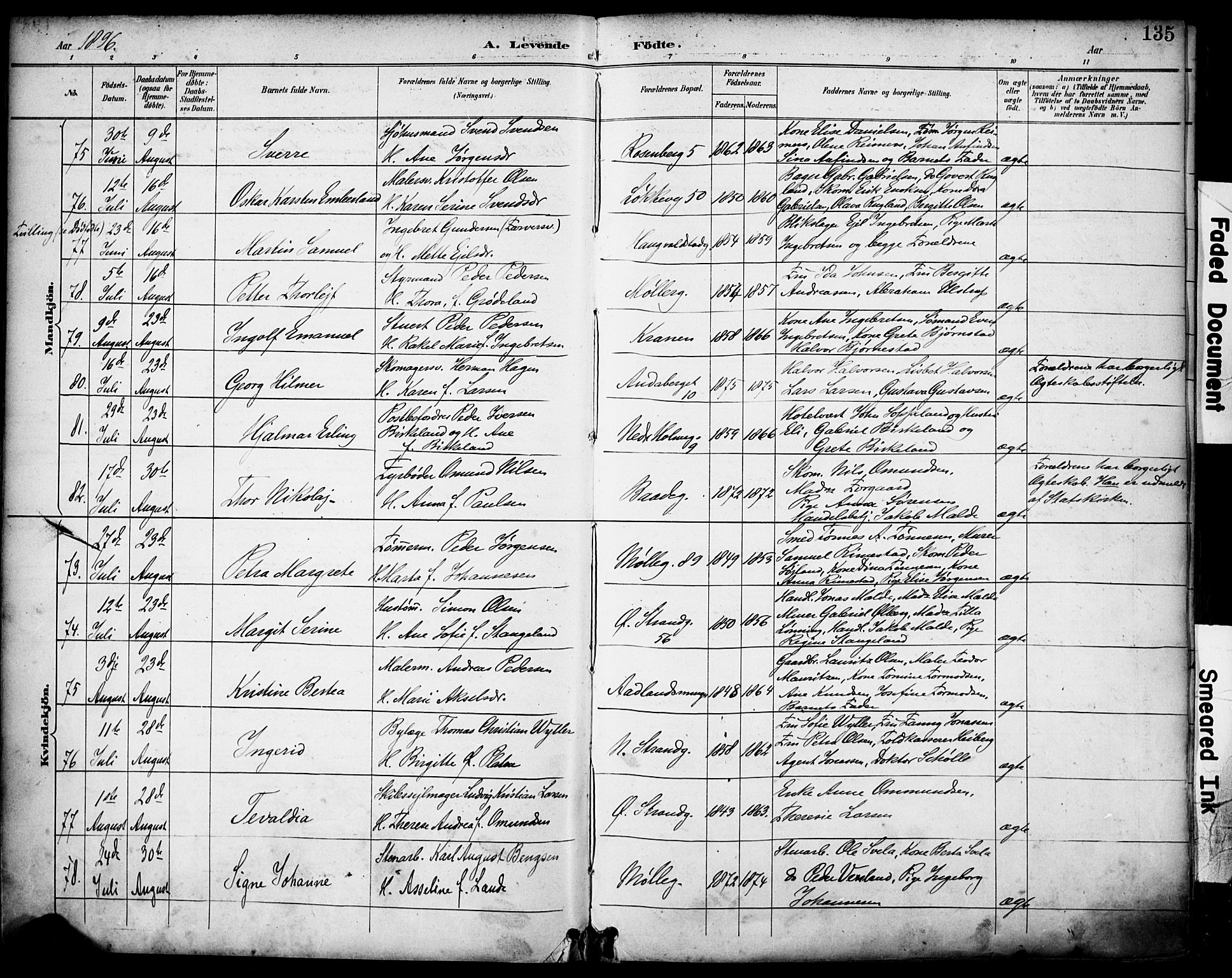 Domkirken sokneprestkontor, SAST/A-101812/001/30/30BA/L0030: Parish register (official) no. A 29, 1889-1902, p. 135