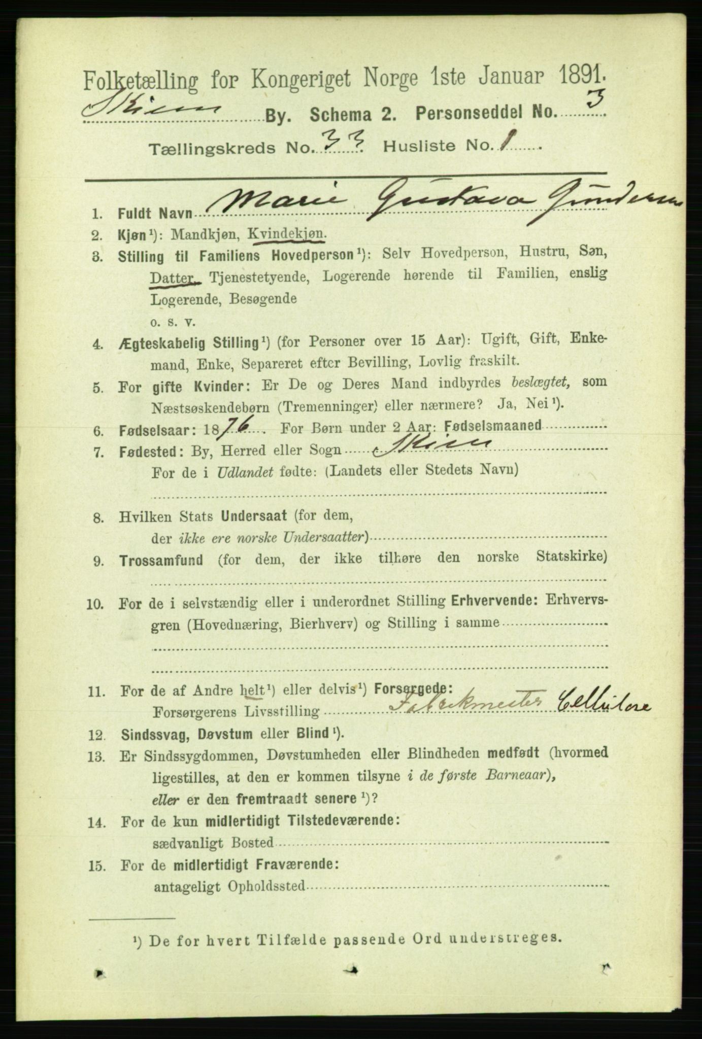 RA, 1891 census for 0806 Skien, 1891, p. 7493