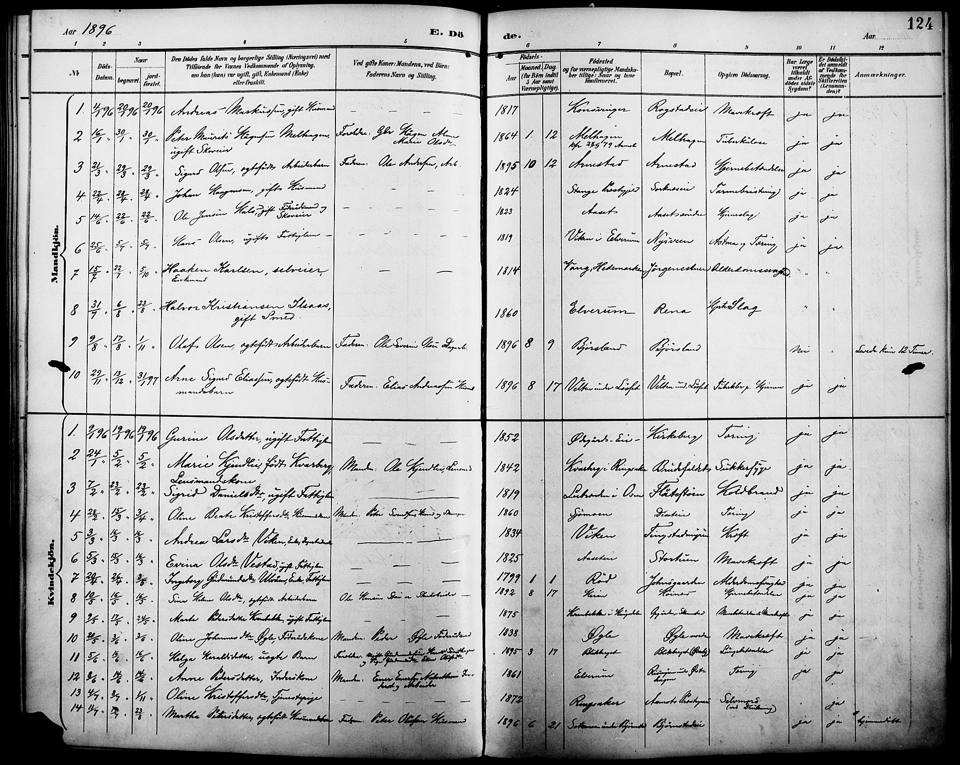 Åmot prestekontor, Hedmark, AV/SAH-PREST-056/H/Ha/Haa/L0011: Parish register (official) no. 11, 1890-1897, p. 124