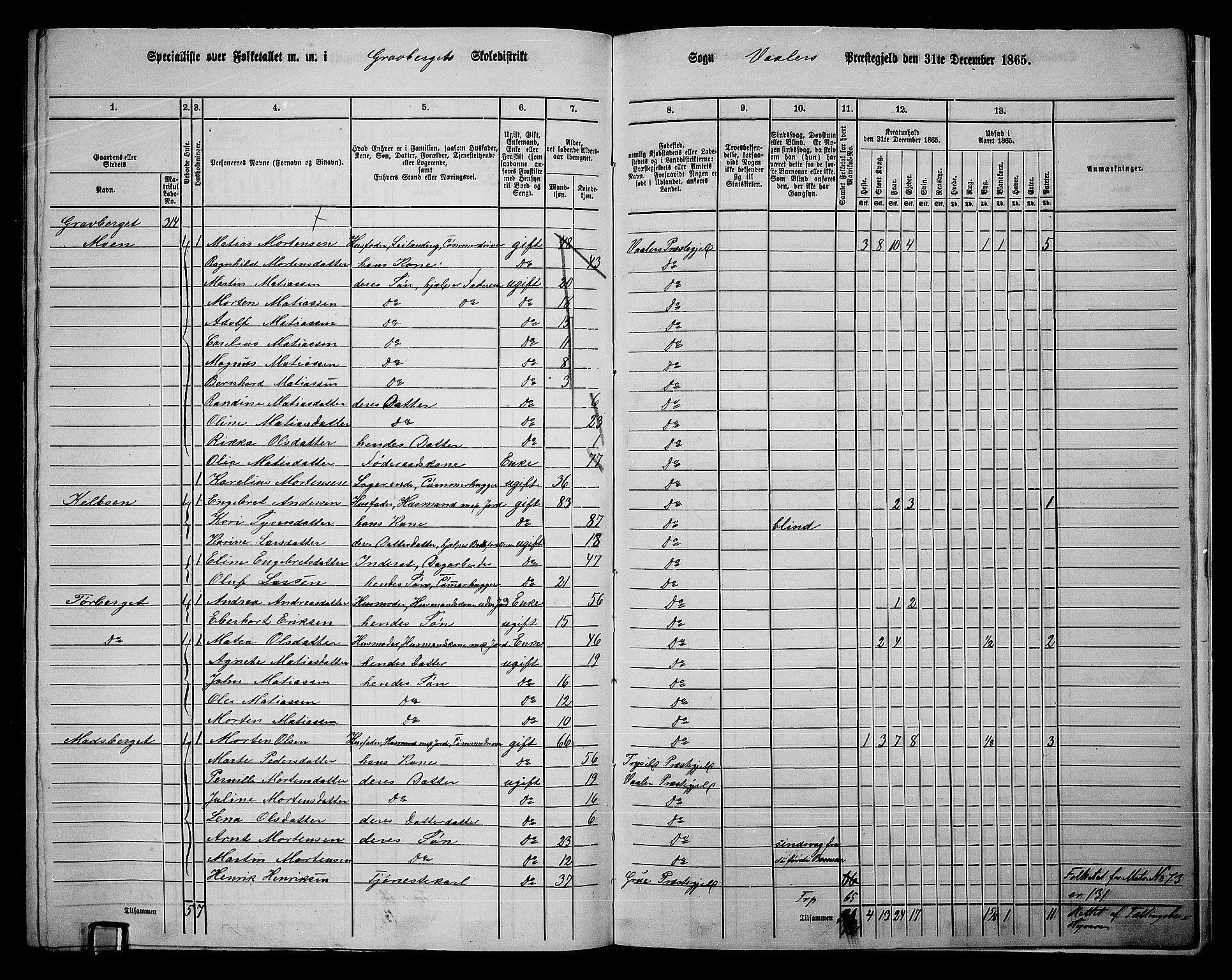 RA, 1865 census for Våler, 1865, p. 159