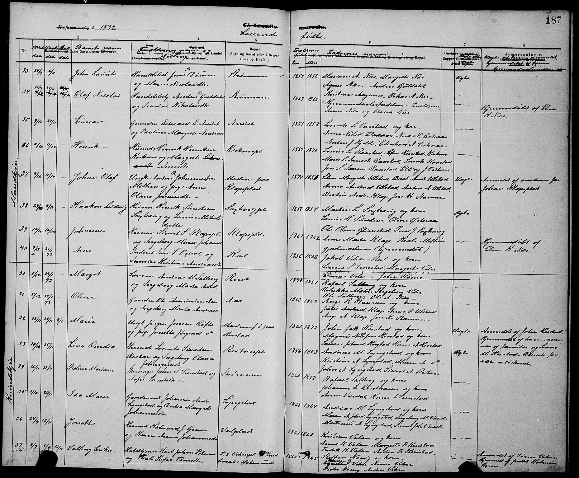 Ministerialprotokoller, klokkerbøker og fødselsregistre - Nord-Trøndelag, AV/SAT-A-1458/730/L0301: Parish register (copy) no. 730C04, 1880-1897, p. 187