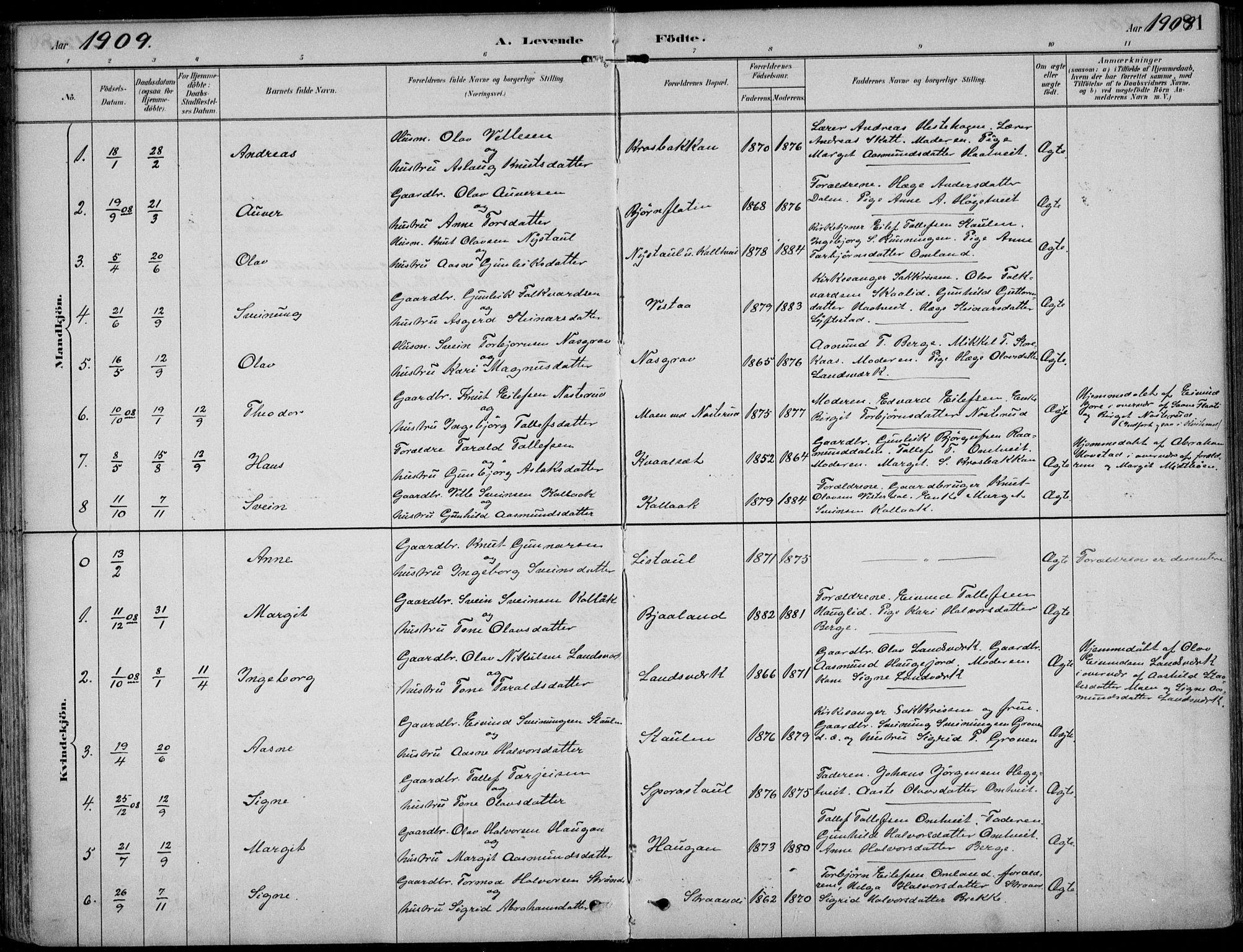 Kviteseid kirkebøker, AV/SAKO-A-276/F/Fb/L0002: Parish register (official) no. II 2, 1882-1916, p. 81