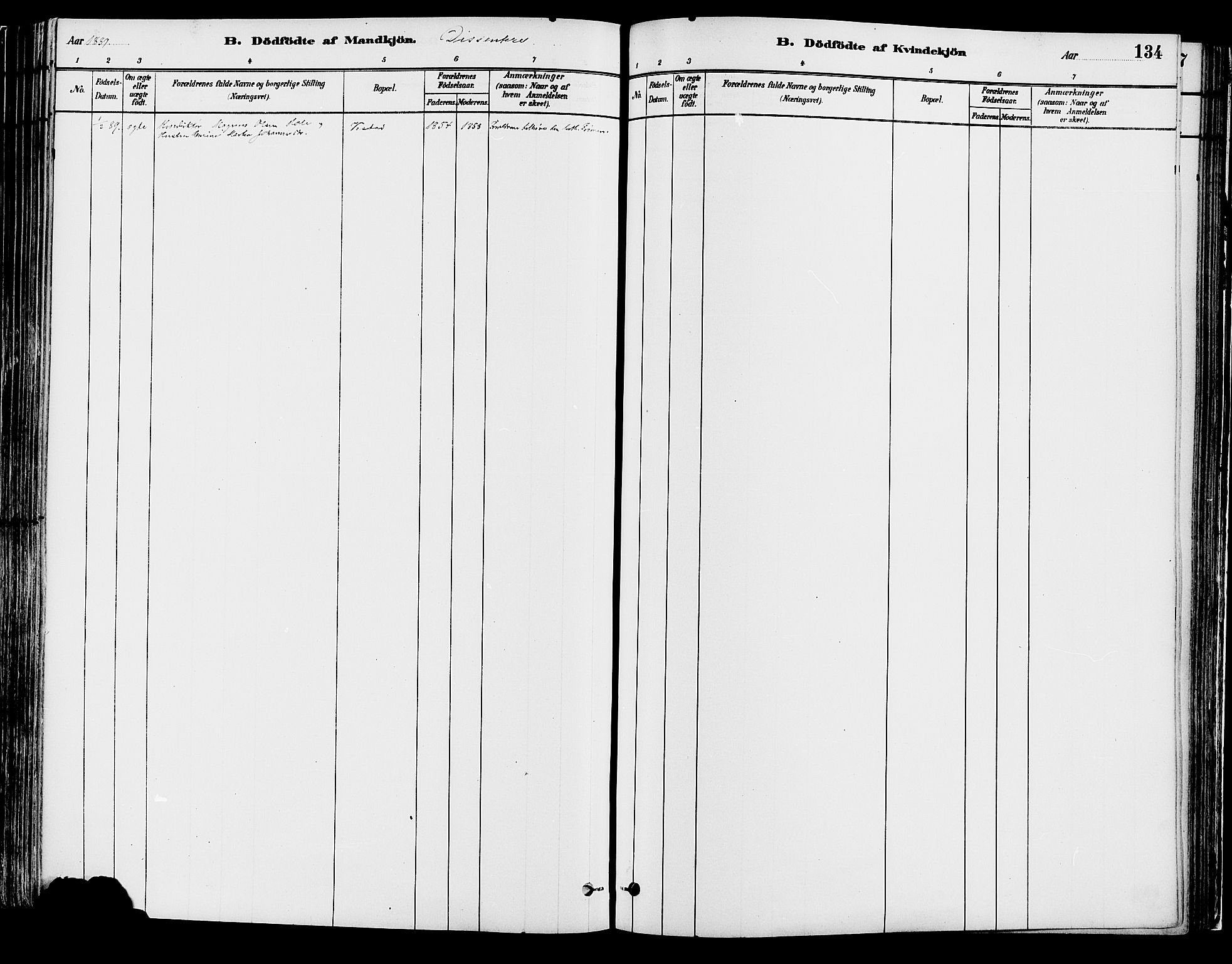 Elverum prestekontor, SAH/PREST-044/H/Ha/Haa/L0013: Parish register (official) no. 13, 1880-1890, p. 134