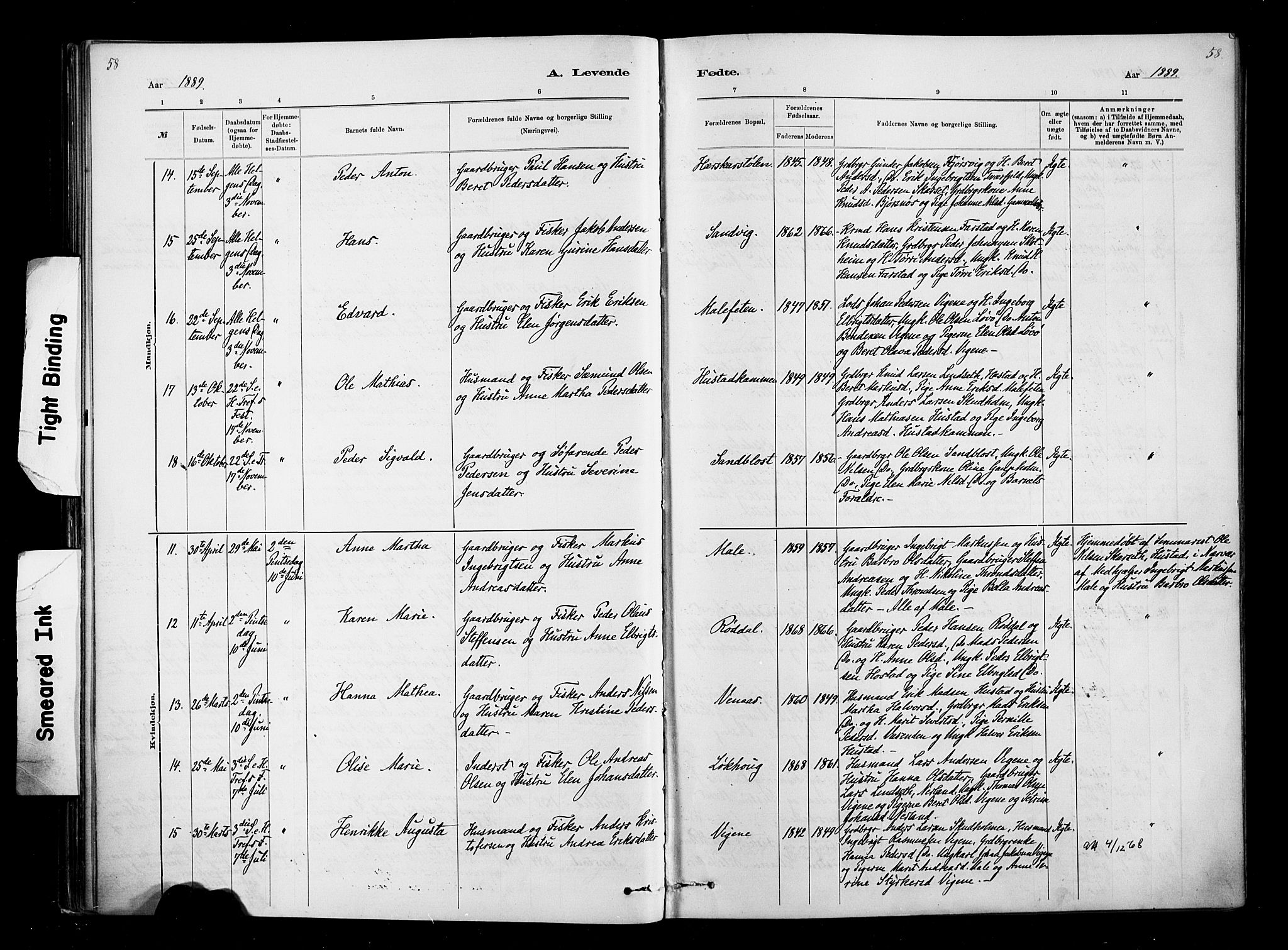 Ministerialprotokoller, klokkerbøker og fødselsregistre - Møre og Romsdal, AV/SAT-A-1454/567/L0778: Parish register (official) no. 567A01, 1881-1903, p. 58