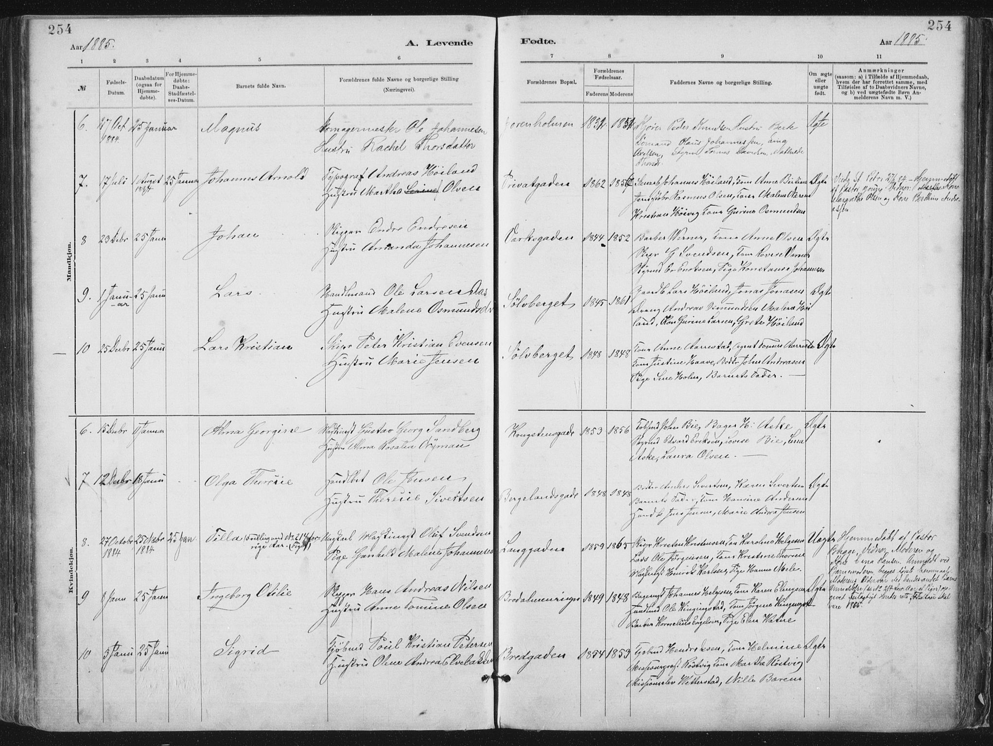 St. Petri sokneprestkontor, AV/SAST-A-101813/001/30/30BA/L0015: Parish register (official) no. A 15, 1879-1888, p. 254