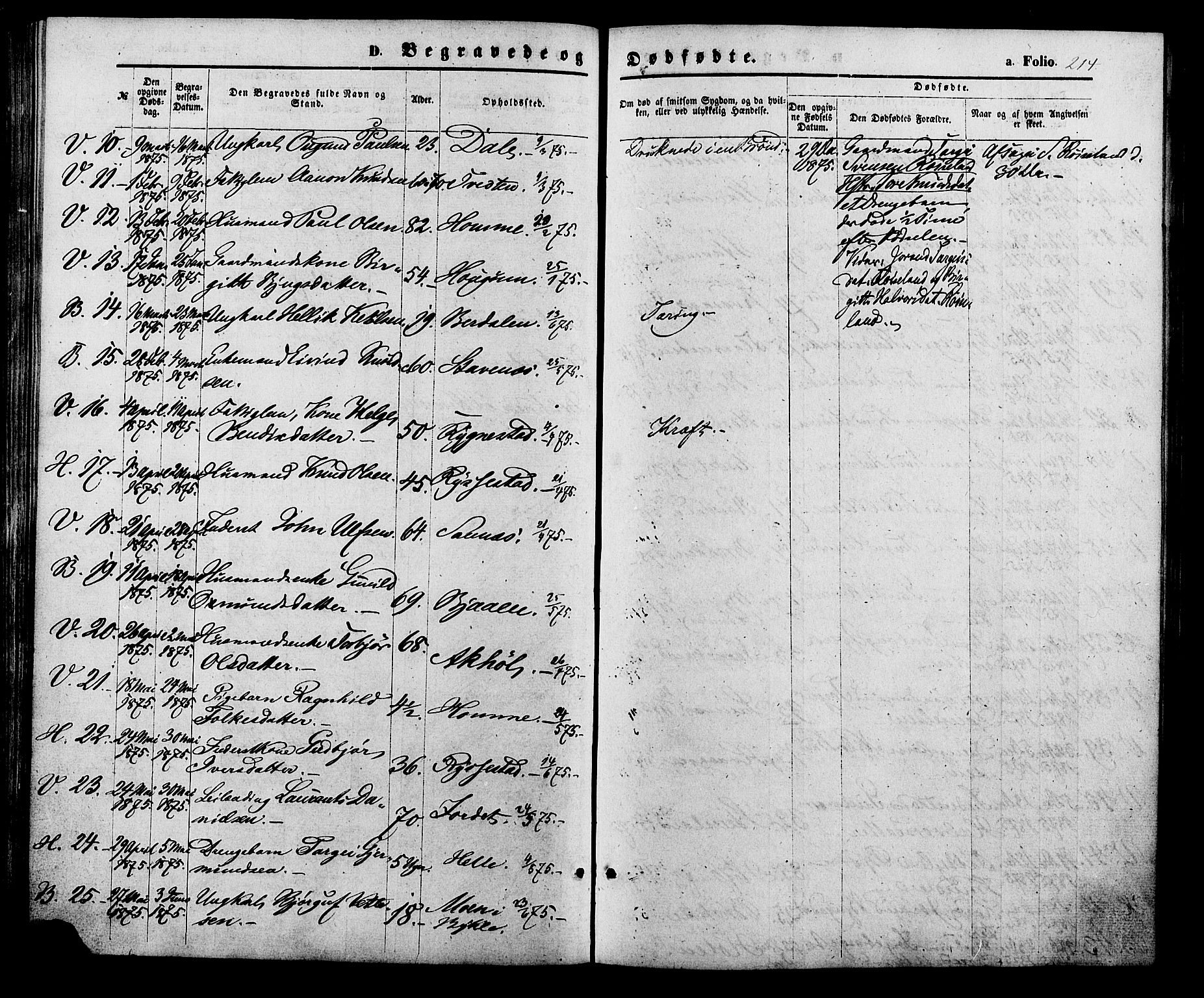 Valle sokneprestkontor, AV/SAK-1111-0044/F/Fa/Fac/L0008: Parish register (official) no. A 8, 1868-1882, p. 214