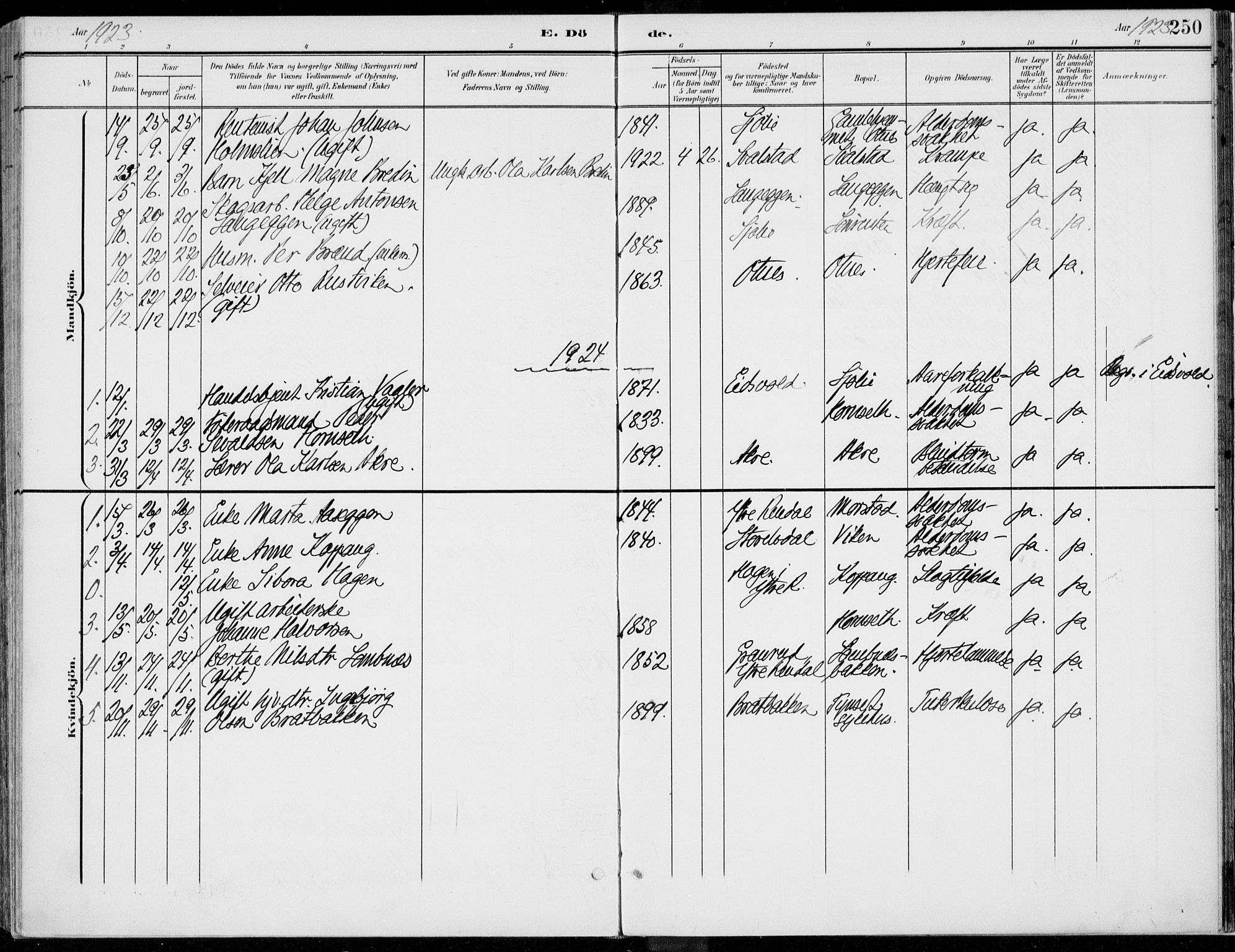 Rendalen prestekontor, SAH/PREST-054/H/Ha/Haa/L0011: Parish register (official) no. 11, 1901-1925, p. 250