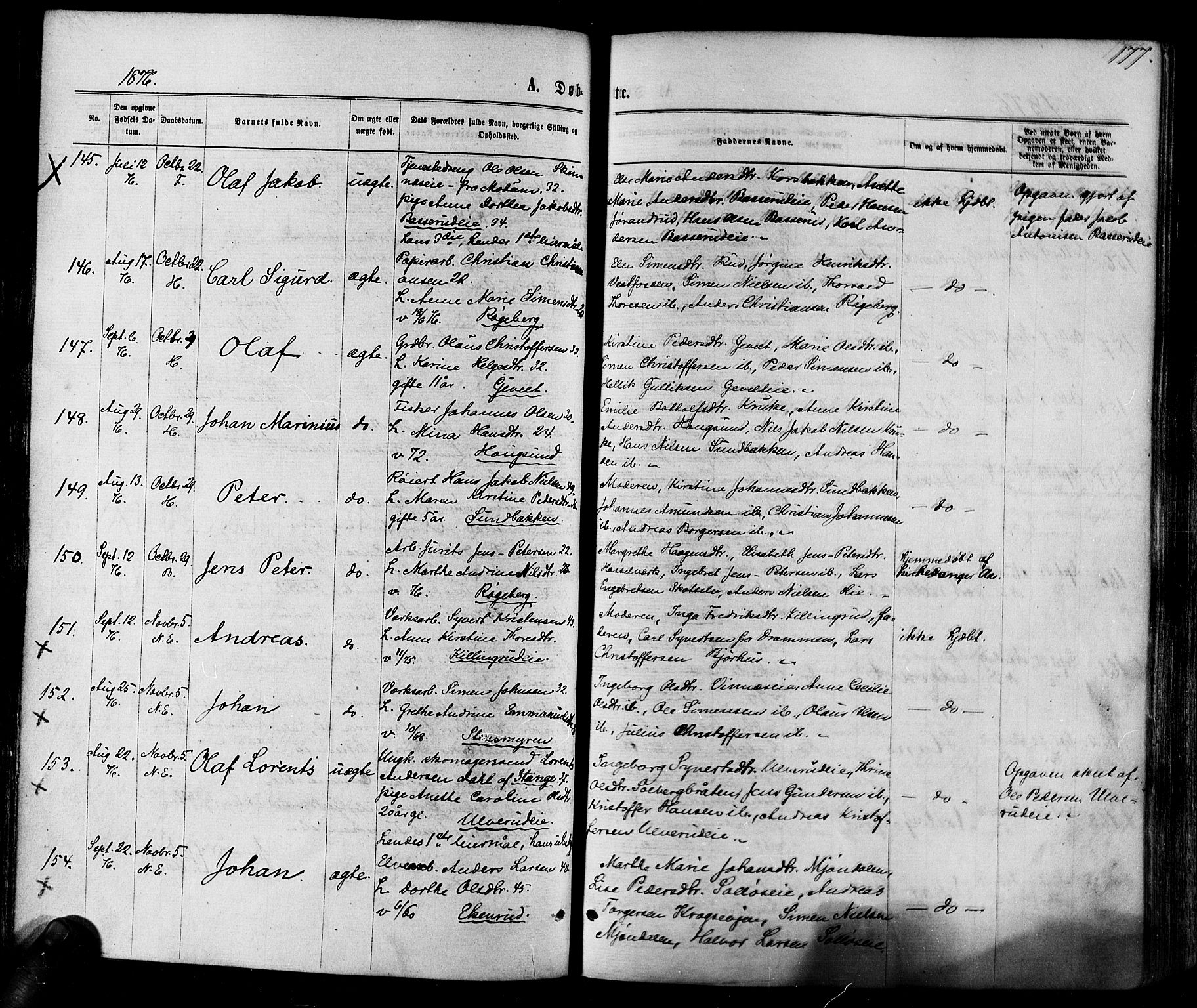 Eiker kirkebøker, AV/SAKO-A-4/F/Fa/L0017: Parish register (official) no. I 17, 1869-1877, p. 177